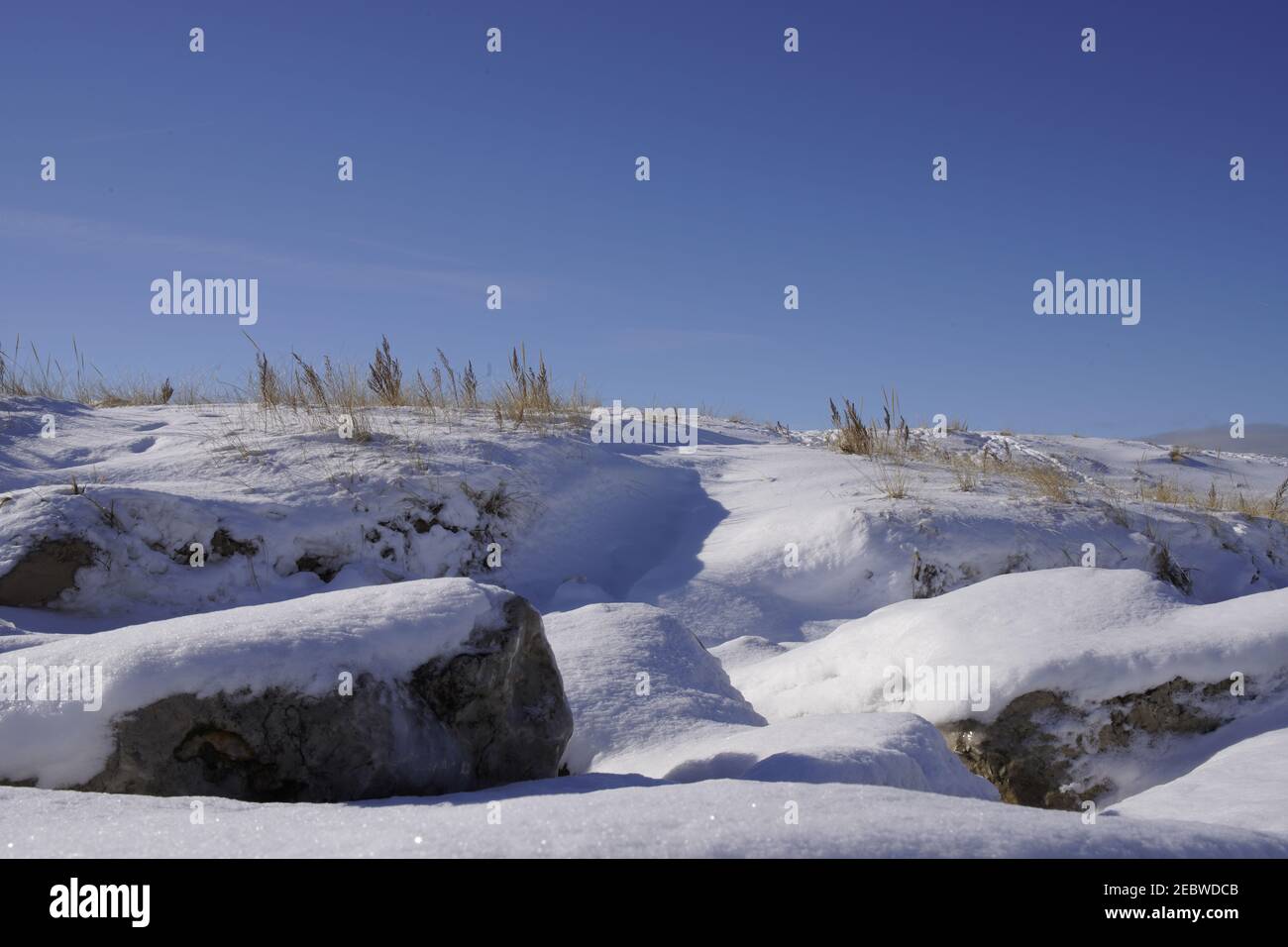 Grand Haven, Michigan, February 2021, snow covered rocks and hill, winter plants Stock Photo