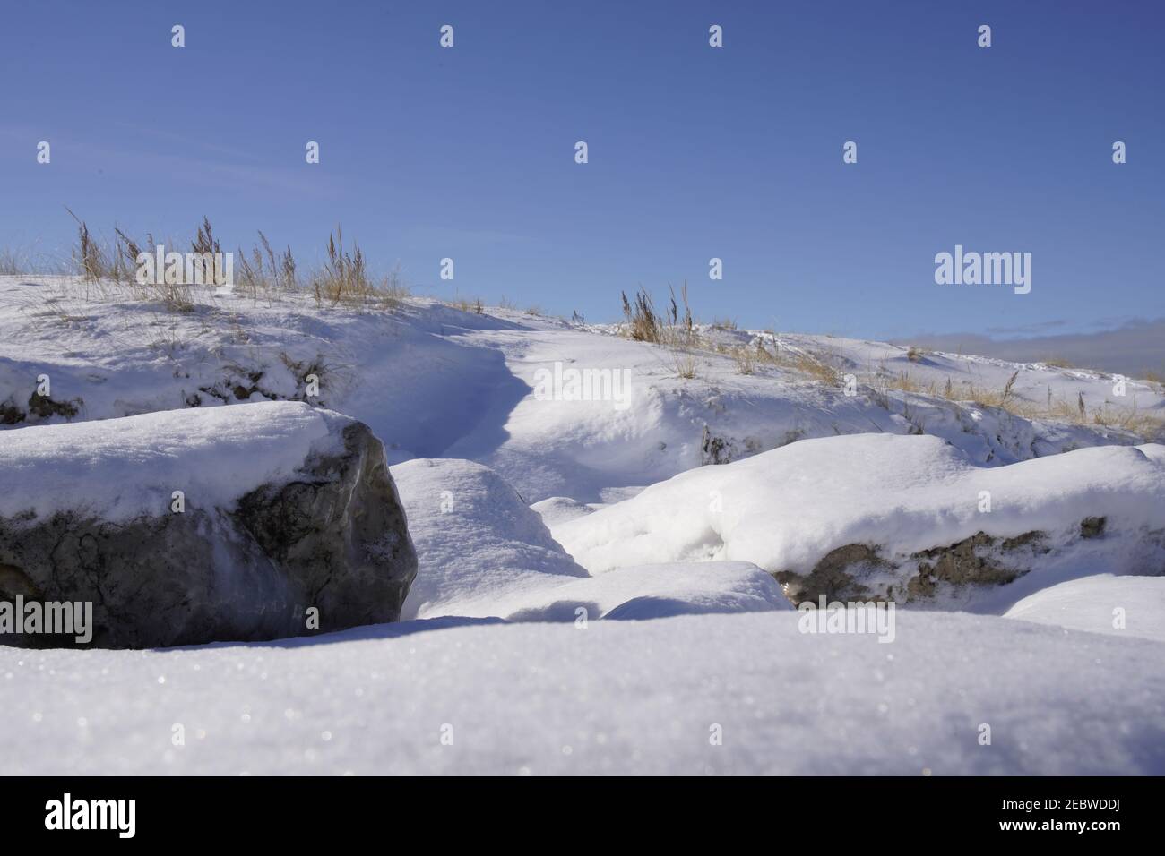 Grand Haven, Michigan, February 2021, snow covered rocks and hill, winter plants Stock Photo