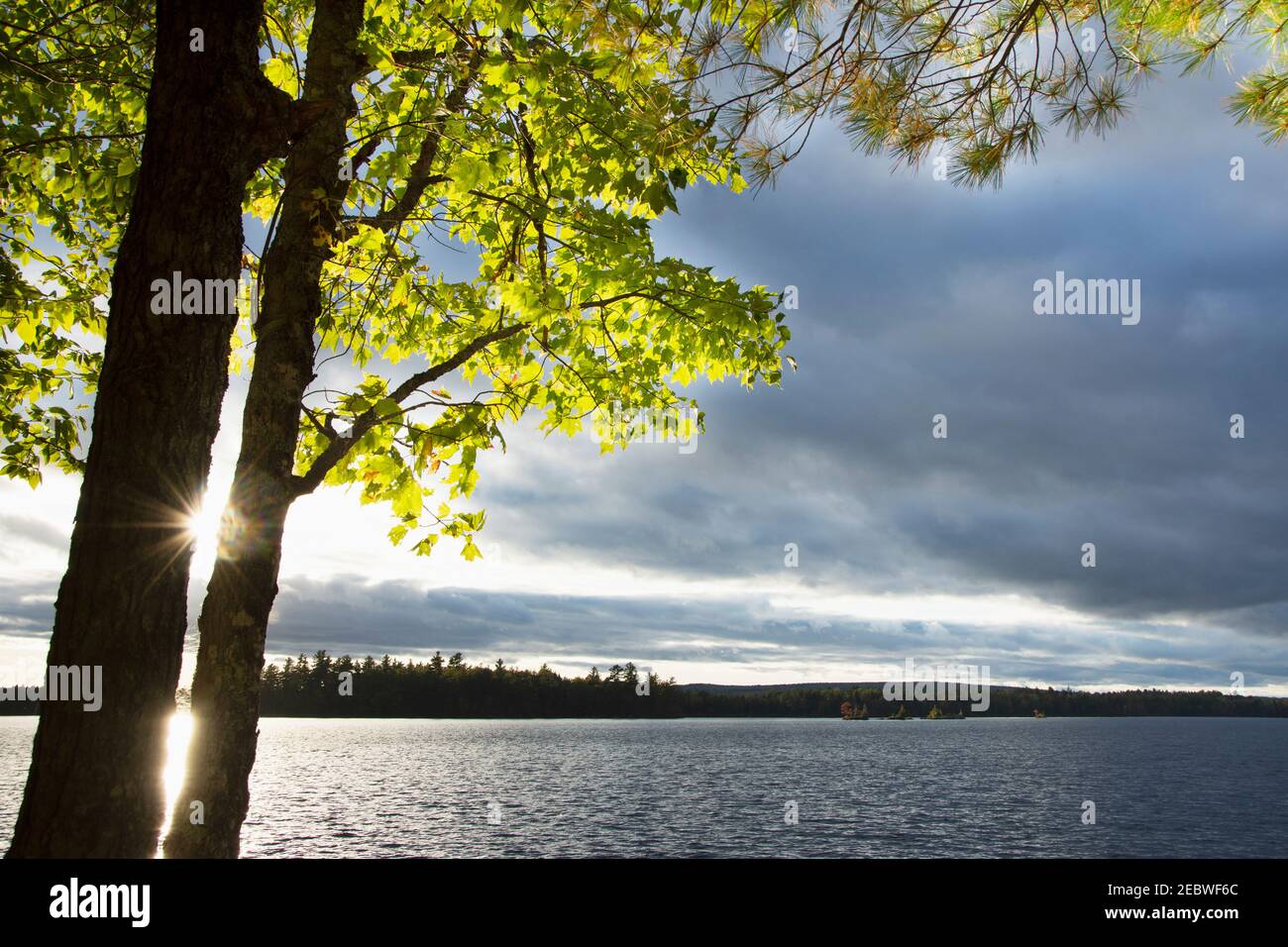 USA, Maine, Cooper, Sunset over Cathance Lake Stock Photo Alamy