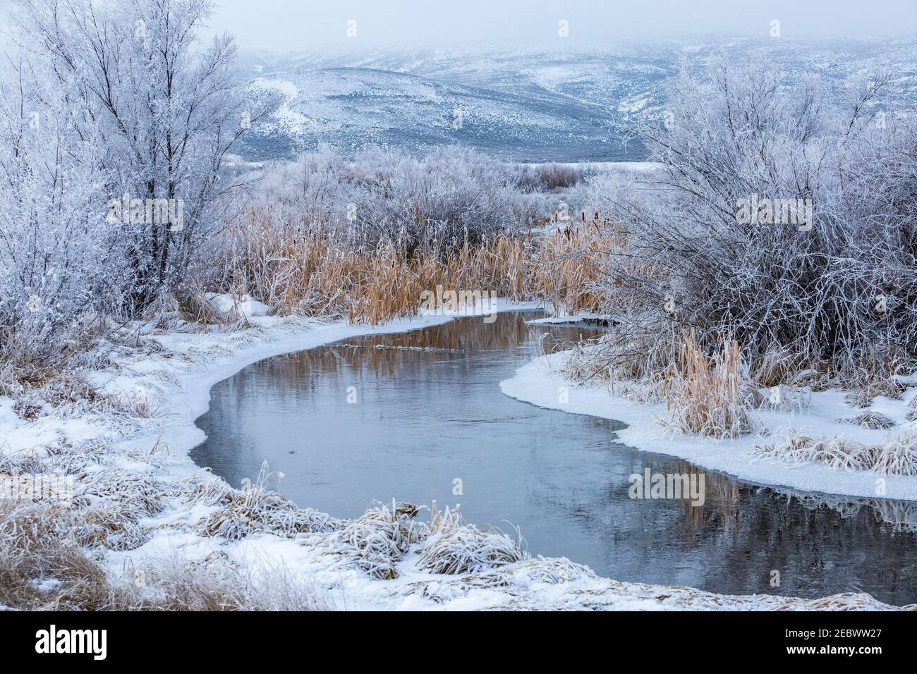 USA, Idaho, Bellevue, Snowy winter landscape with creek among trees ...