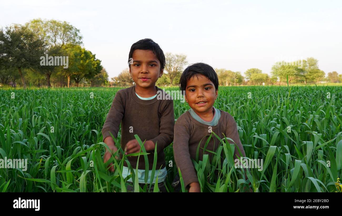 08 February 2021- Khatoo, Jaipur, India. Two Indian kid going in spring field. Little funny children enjoying the green nature. Stock Photo