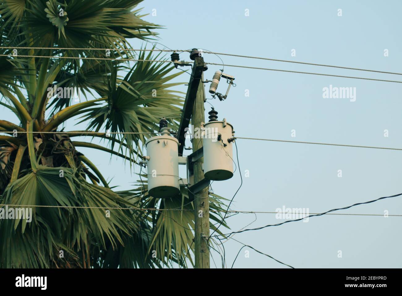 Electric power transmission on the stick photo capture at Dhaka, Bangladesh. Stock Photo