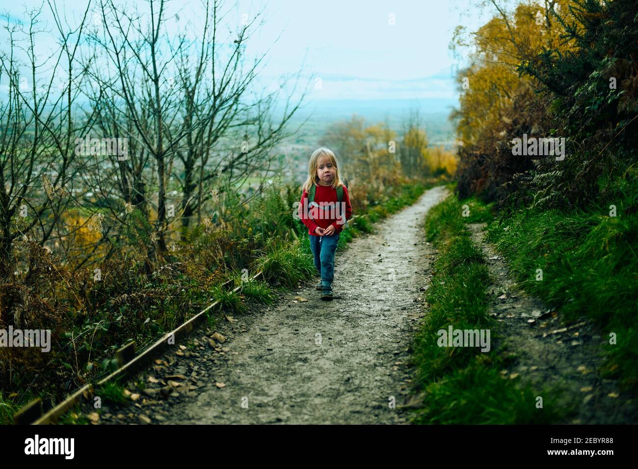 A little preschooler is walking on a path in the woods on an autumn day Stock Photo