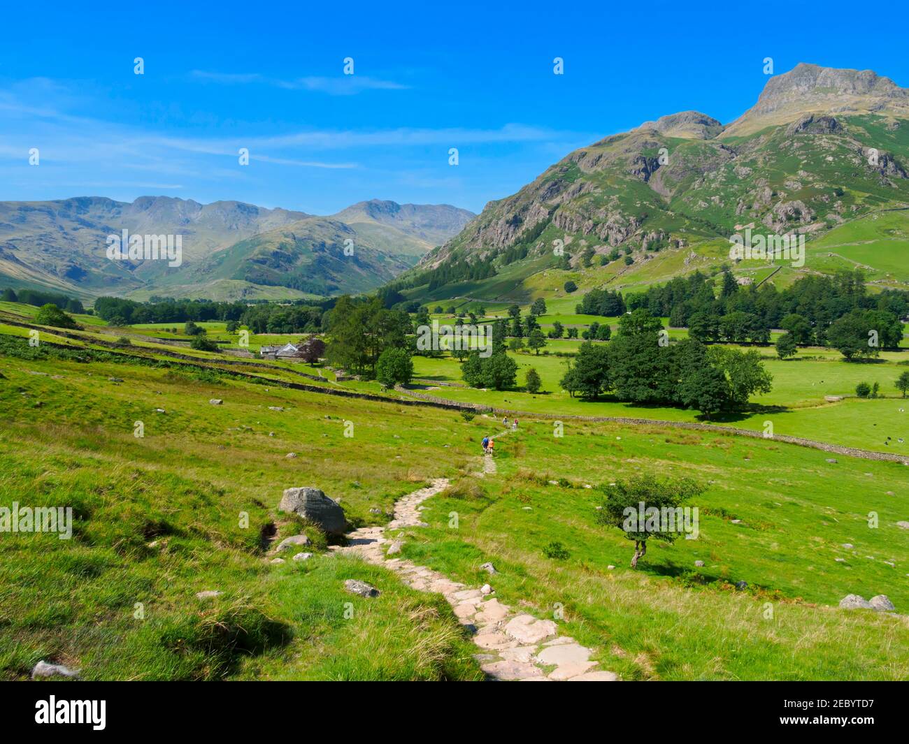 Great Langdale, Mickleden and Oxendale valleys, Lake District, Cumbria. Walking the Cumbria Way in Great Langdale in late summer. Stock Photo