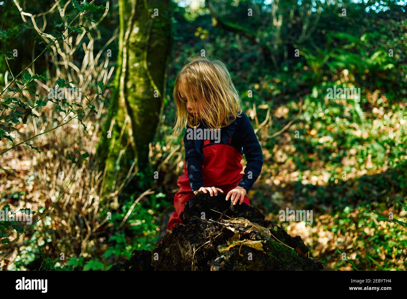 A little preschooler is sitting on the ground in nature on a sunny autumn day Stock Photo