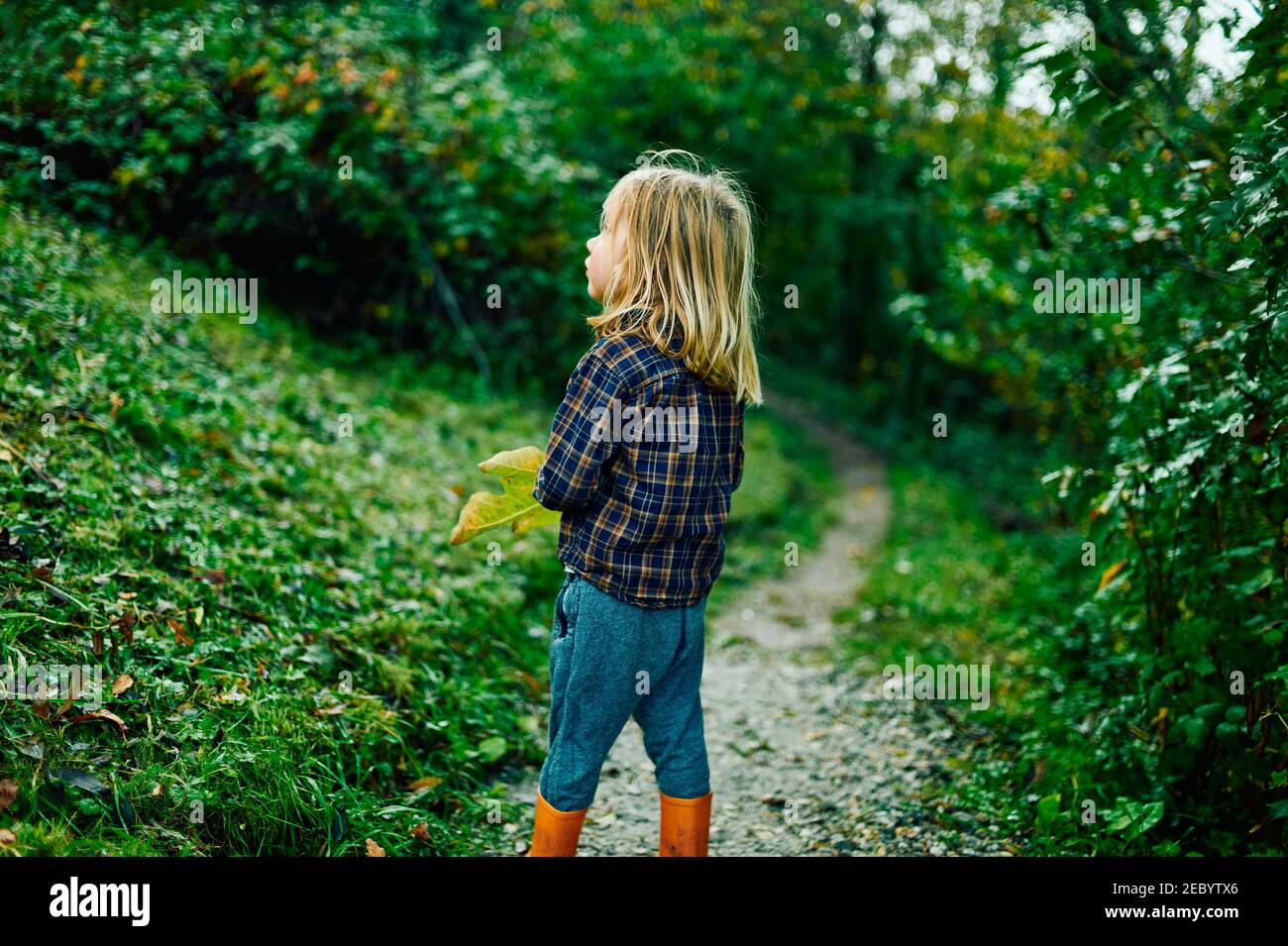 A little preschooler is playing in the woods on a sunny autumn day Stock Photo