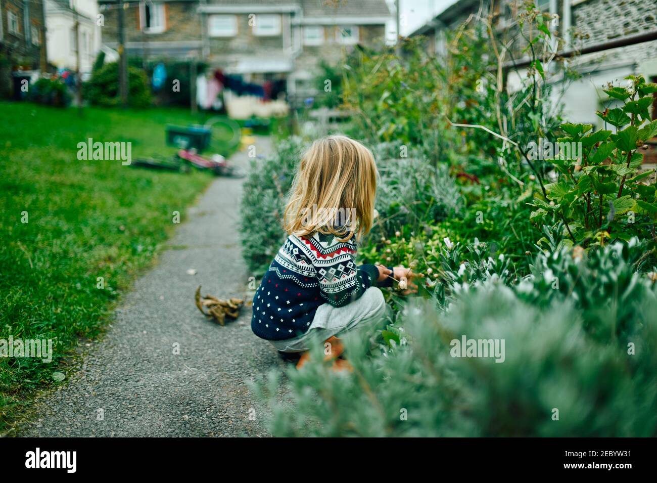 A little preschooler is playing outside his house in the autumn Stock Photo