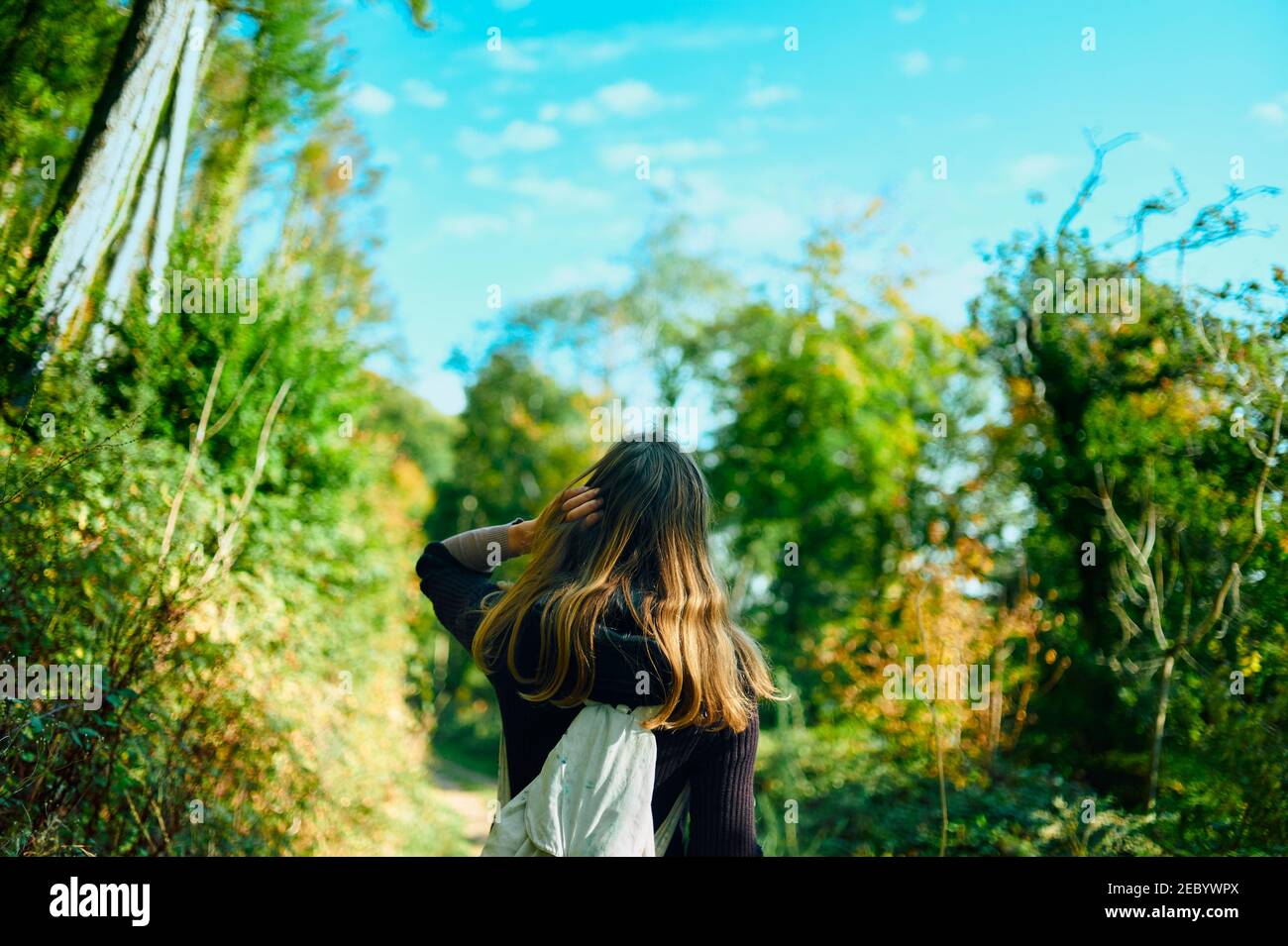 A young woman is walking in the woods on a sunny autumn day Stock Photo