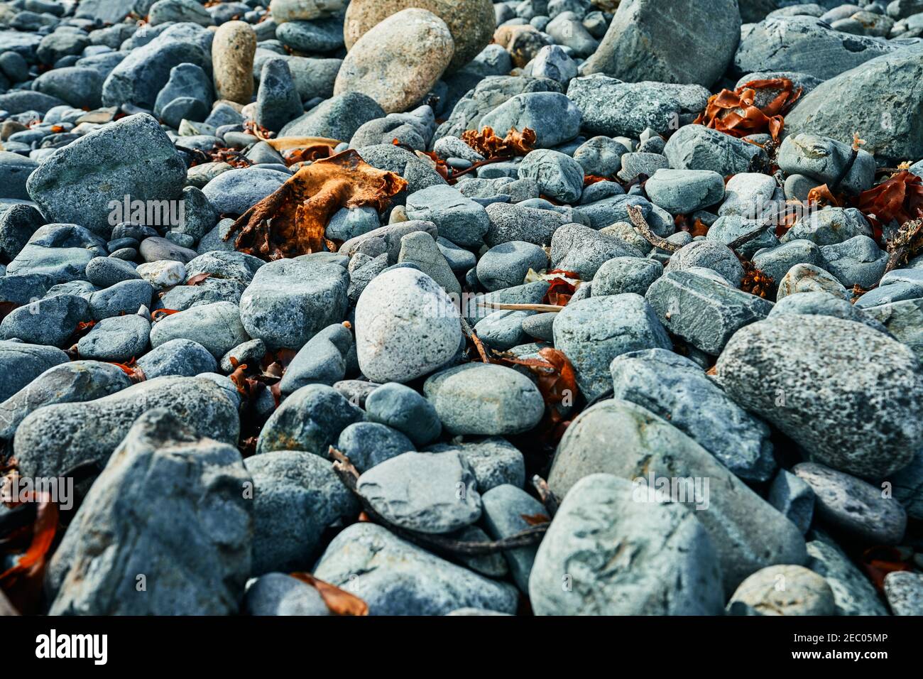 Stones on the beach on a sunny day texture Stock Photo