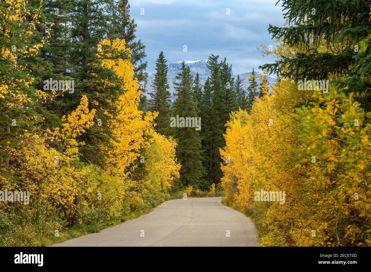 Vermilion Lakes Road in autumn foliage season sunny day. Banff Legacy Trail, Banff National Park, Canadian Rockies, Alberta, Canada. Stock Photo