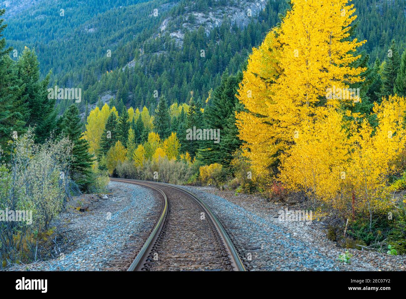 Railway scenery in autumn foliage season. Banff National Park, Canadian