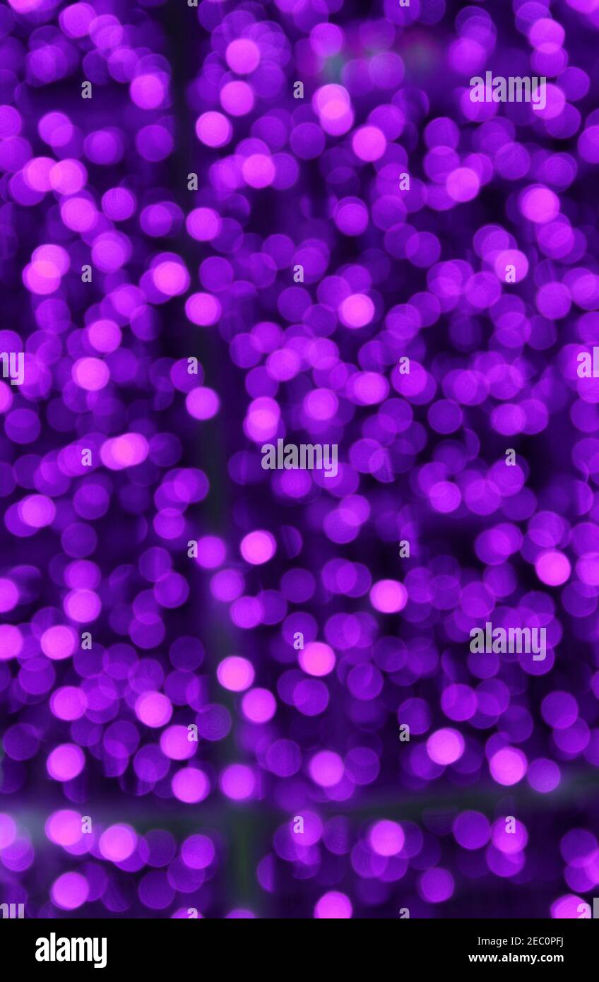Gradient Pink and Purple Bokeh for Abstract Background Stock Photo