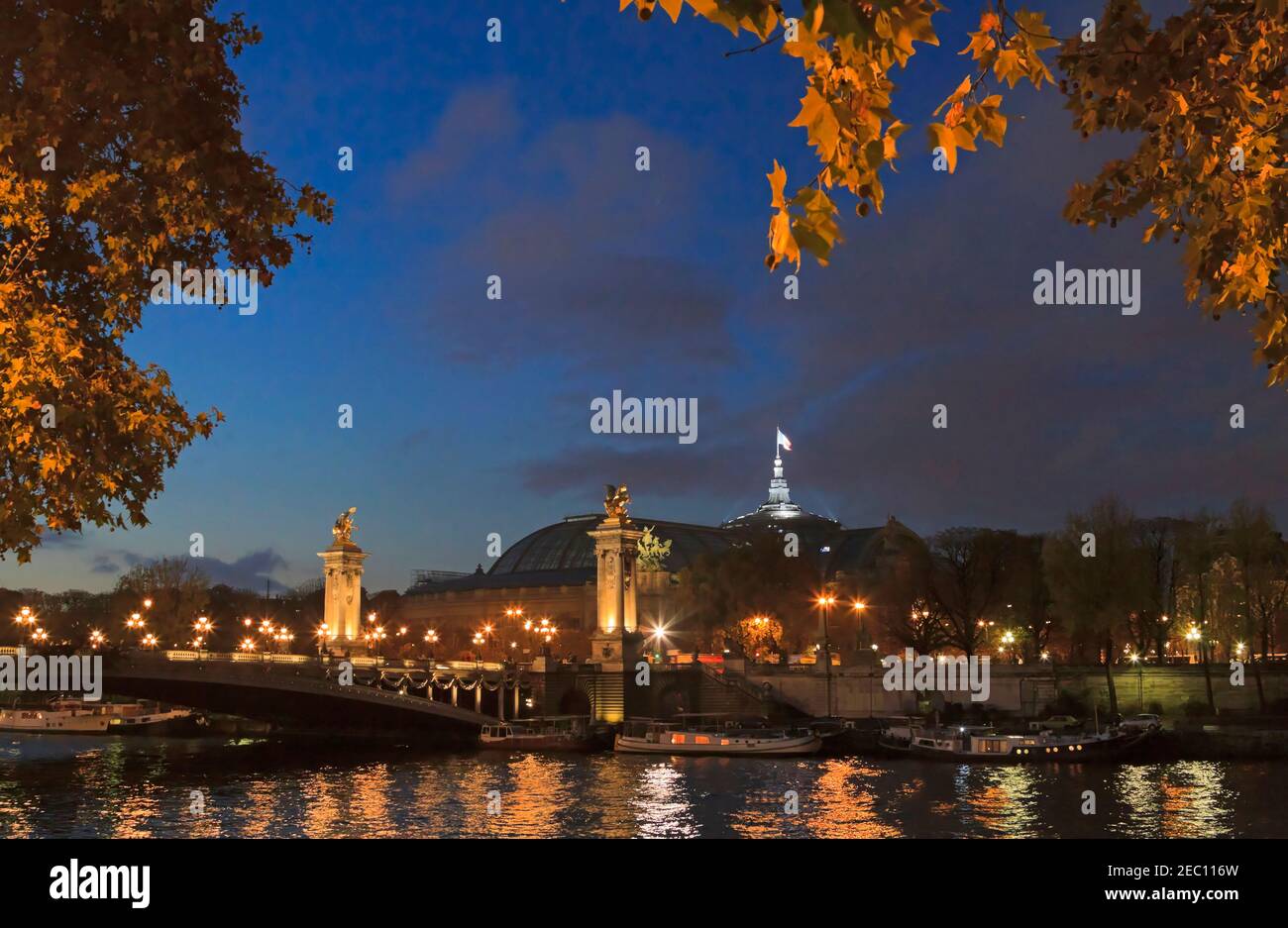 Pont Alexandre III and the Grand Palais across the River Seine at night, Paris Stock Photo