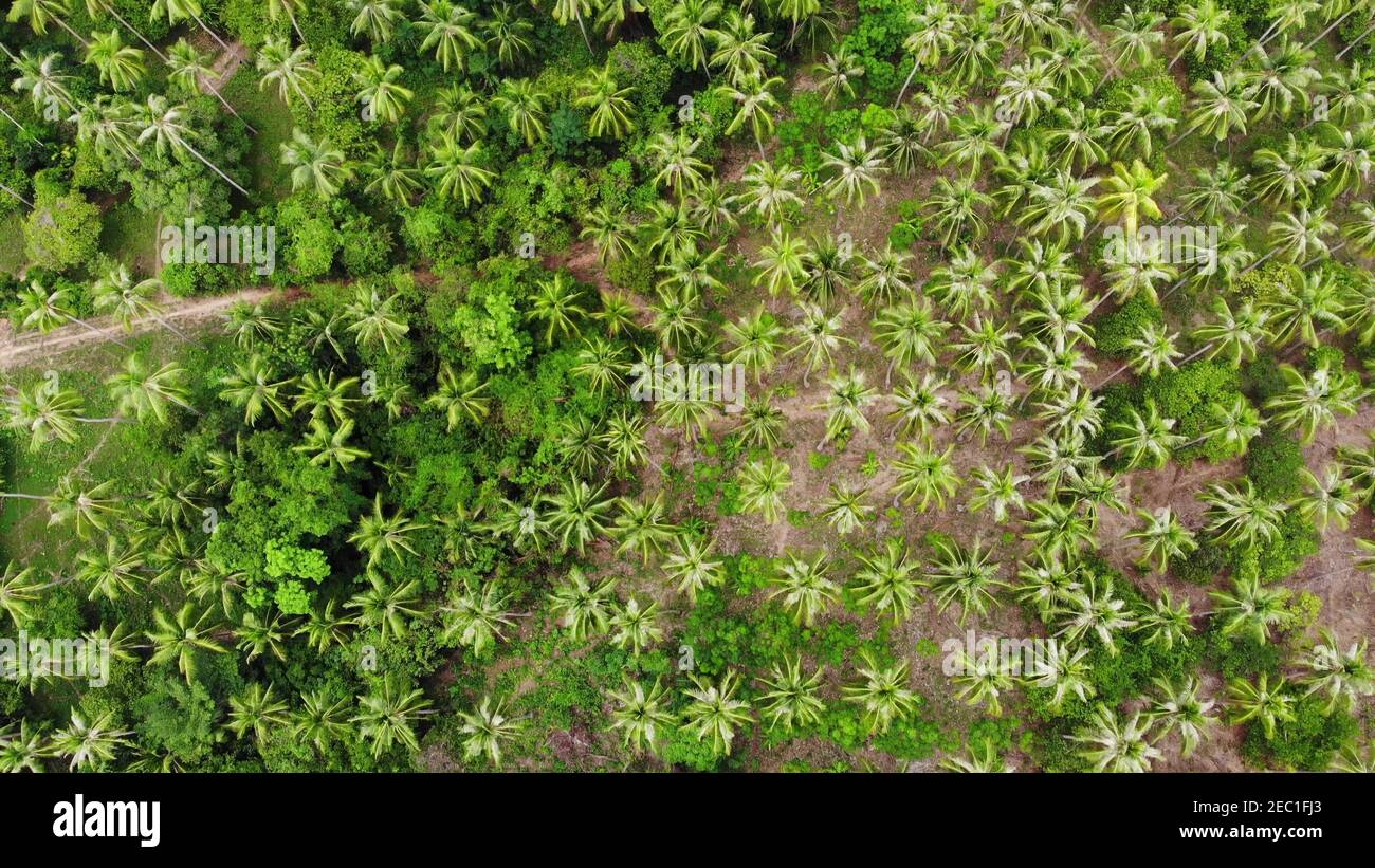 Aerial rural island thailand hi-res stock photography and images - Alamy