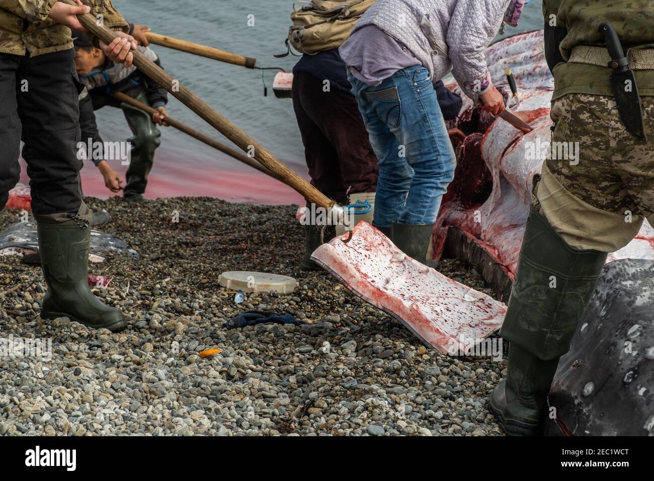 Lavrentiia, Chukotski region, Russia - August 5, 2020: The natives of Chukotka have caught a whale and are now cutting it into pieces. Stock Photo
