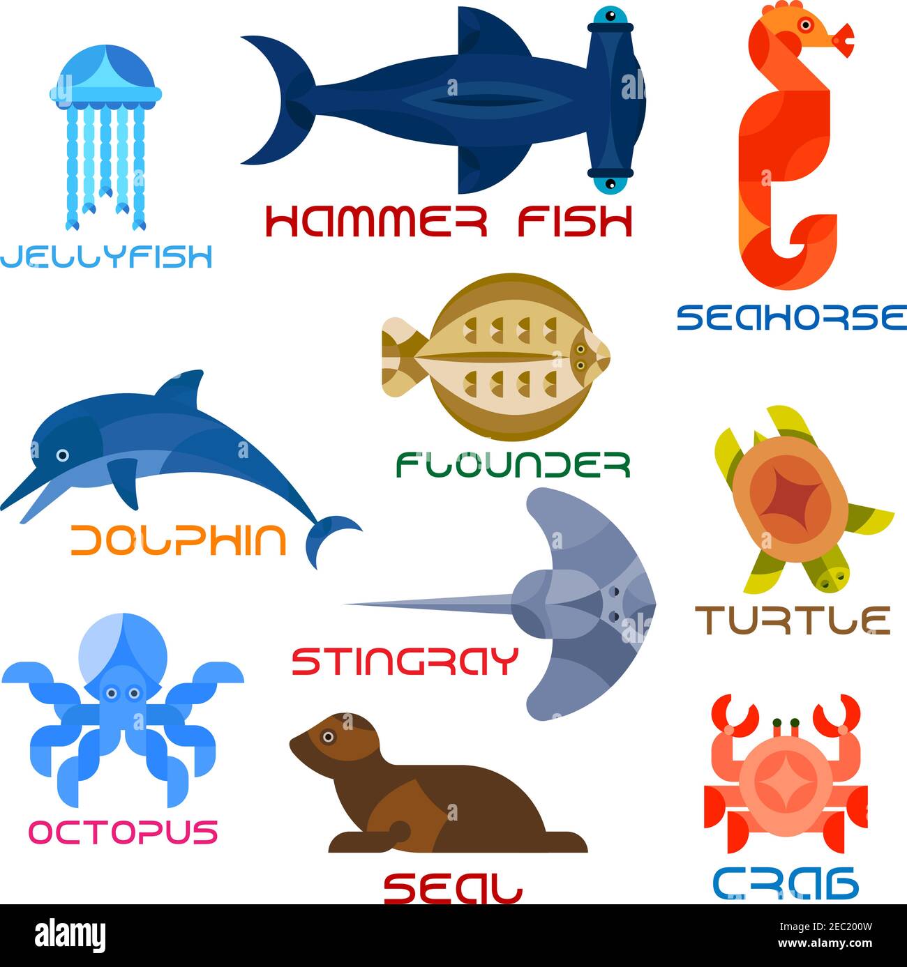 Cartoon marine animals named flat icons with atlantic crab, jumping  dolphin, swimming turtle, octopus, jellyfish, hammer fish, bright red  seahorse, co Stock Vector Image & Art - Alamy