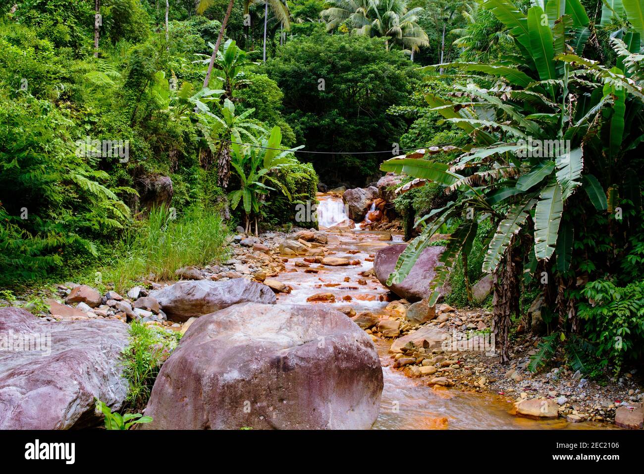 Palm leaves waterfall hi-res stock photography and images - Alamy