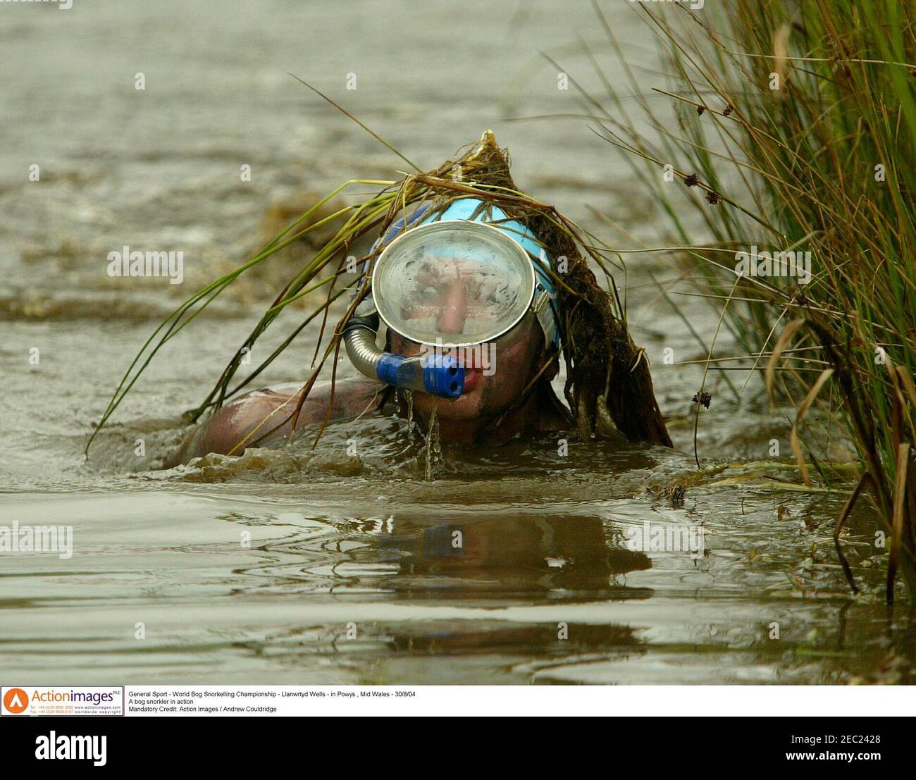General Sport World Bog Snorkelling Championship Llanwrtyd Wells In Powys Mid Wales 30 8 04 A Bog Snorkler In Action Mandatory Credit Action Images Andrew Couldridge Stock Photo Alamy