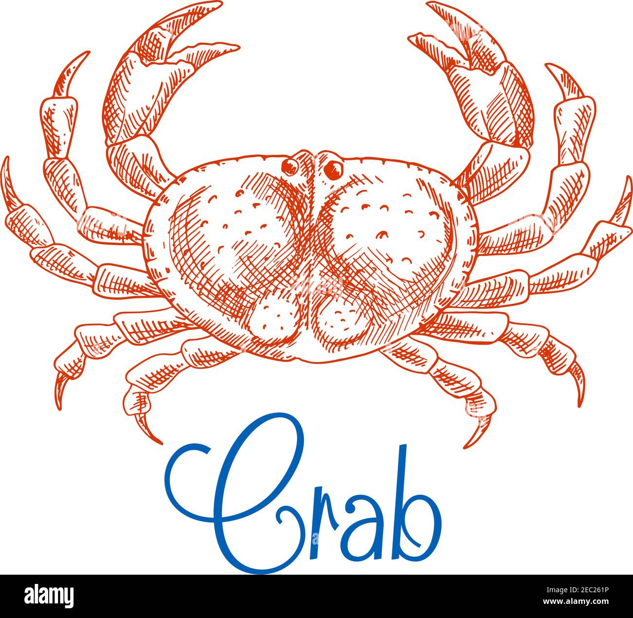 Large red ocean crab isolated sketch icon with raised pincers and text Crab below. Seafood menu, zoo aquarium mascot, t-shirt print design usage Stock Vector