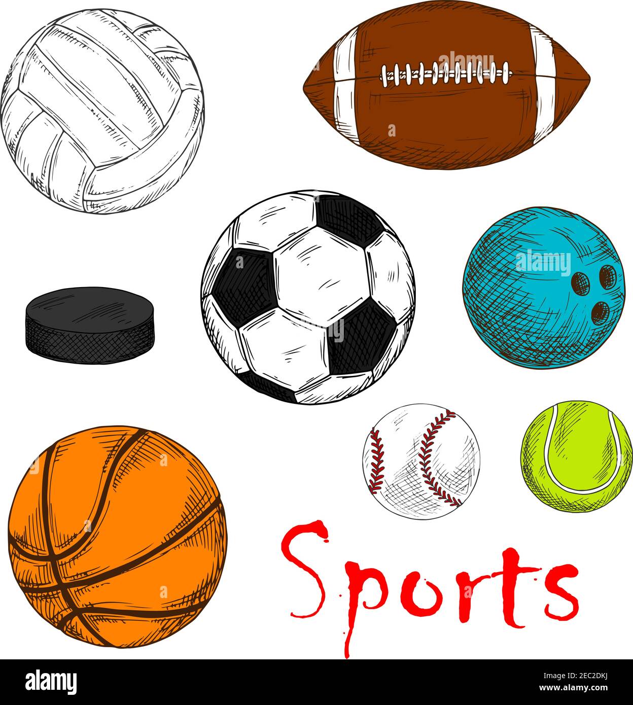 Colored sketch of sporting items for team games with ice hockey pucks and  balls for soccer or football, baseball, rugby, volleyball, basketball and  bo Stock Vector Image & Art - Alamy