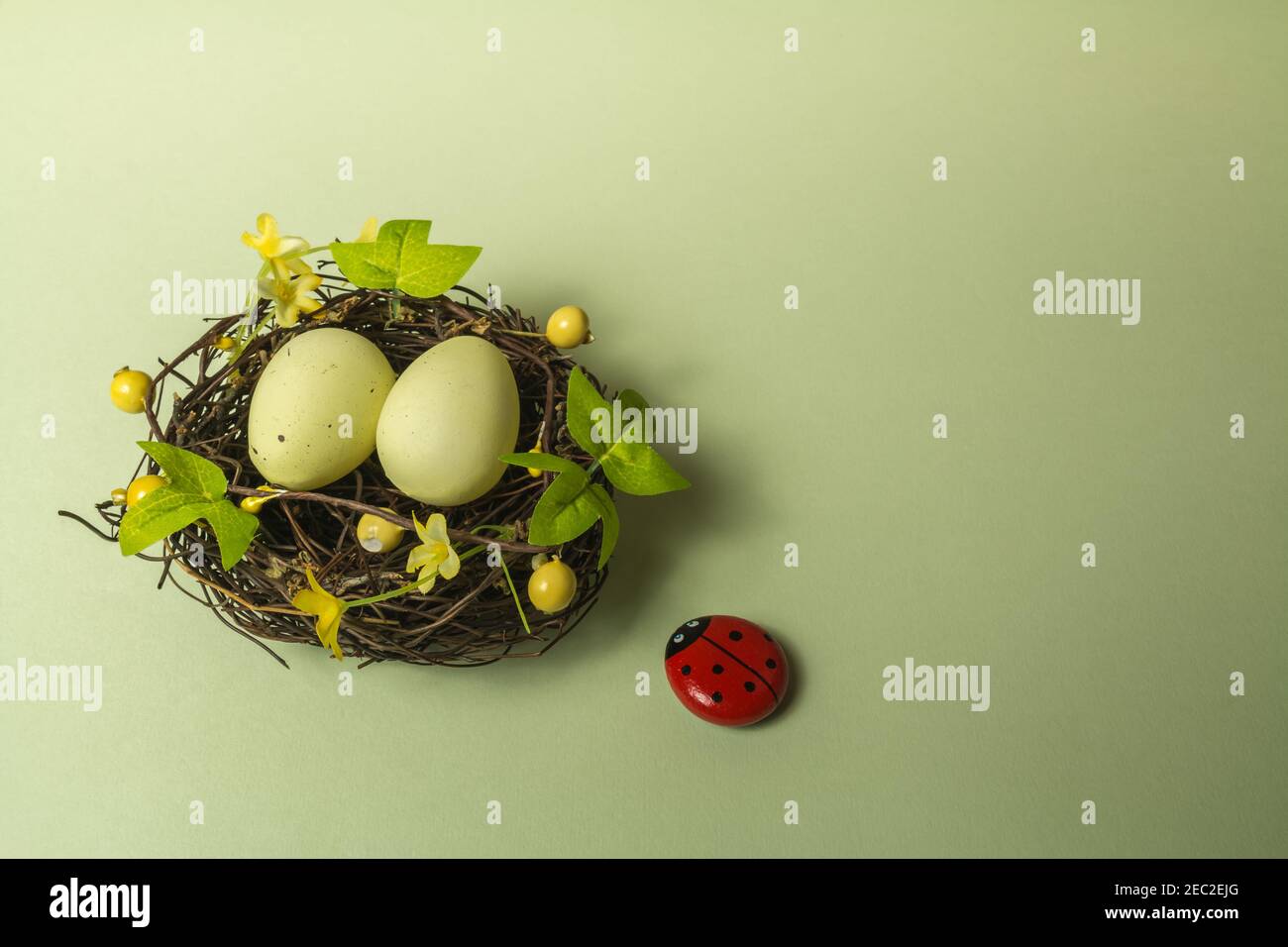 Easter decoration, eggs in a bird nest with yellow spring flowers and ...