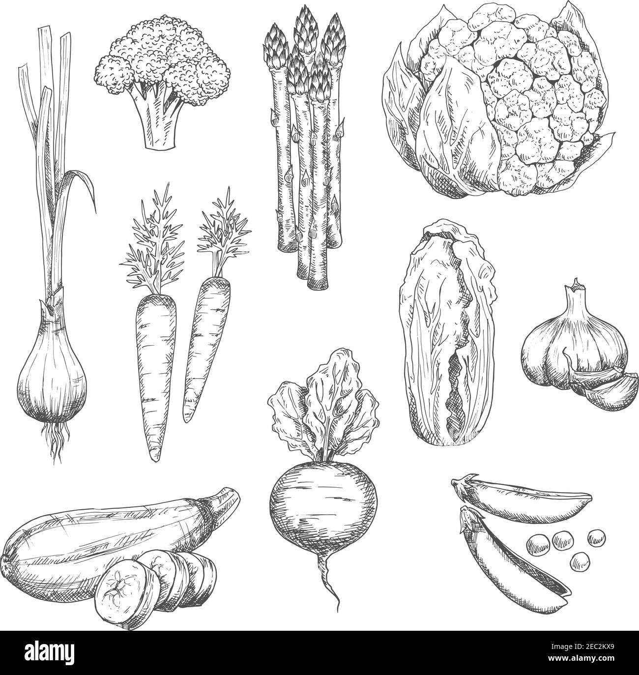 Crunchy vegetables Black and White Stock Photos & Images - Alamy