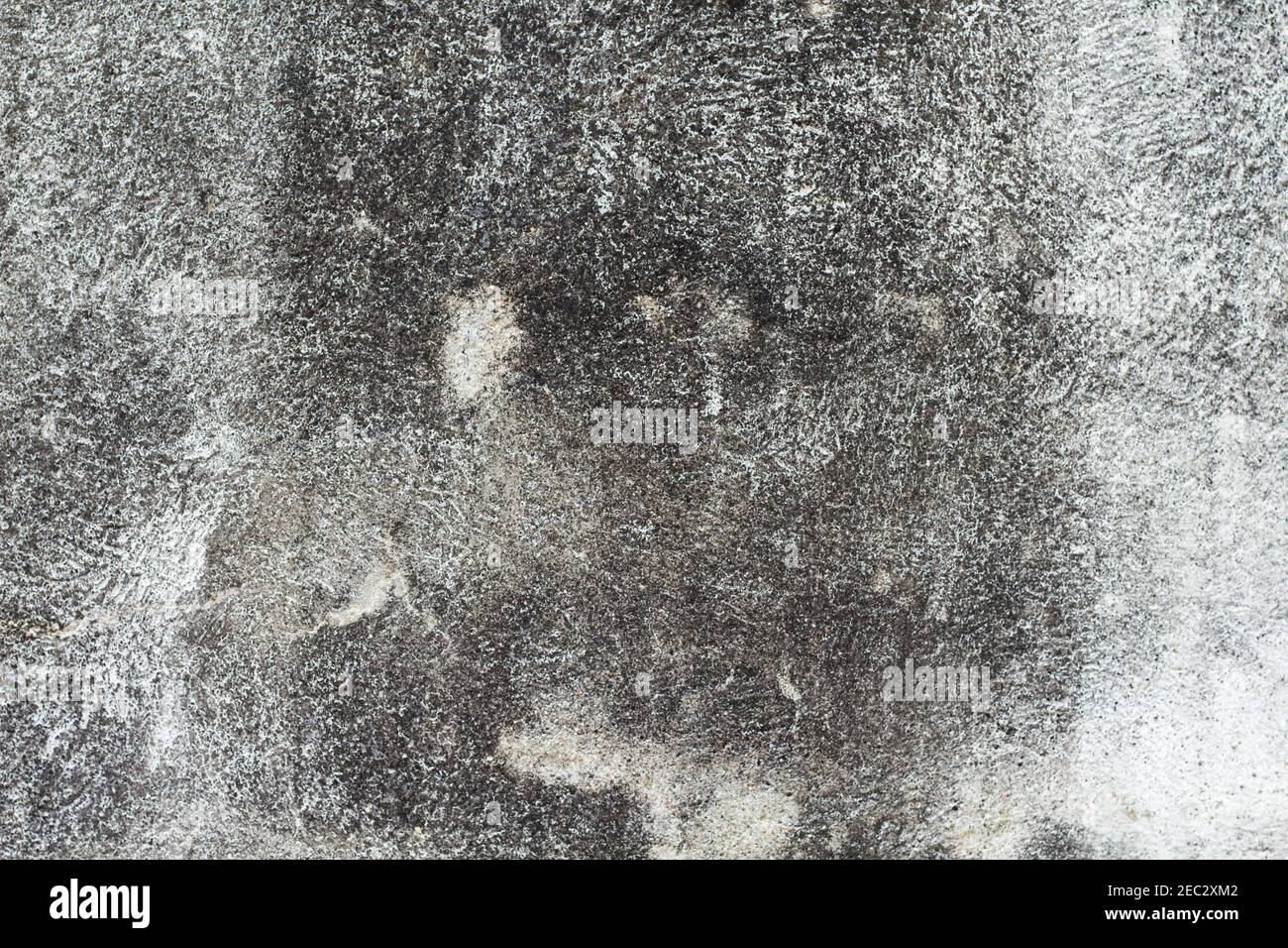 Grey shades color palette hi-res stock photography and images - Alamy
