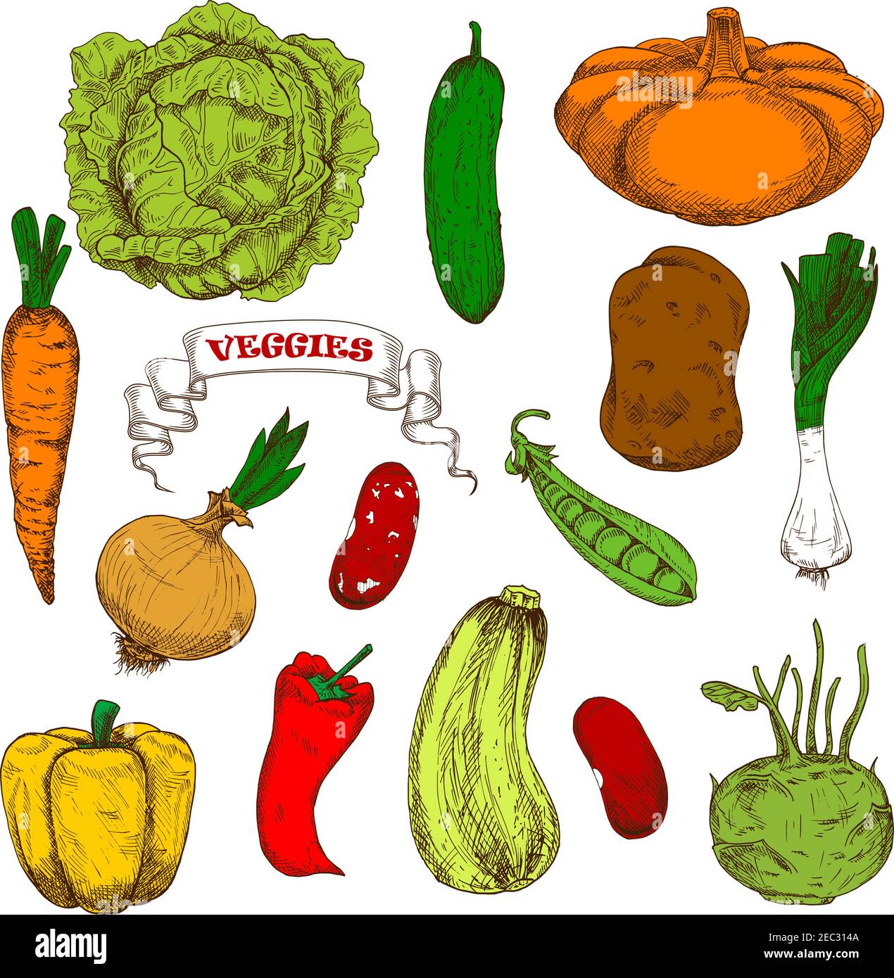 Healthful organic fresh carrot, onion, pumpkin pea leek cayenne pepper