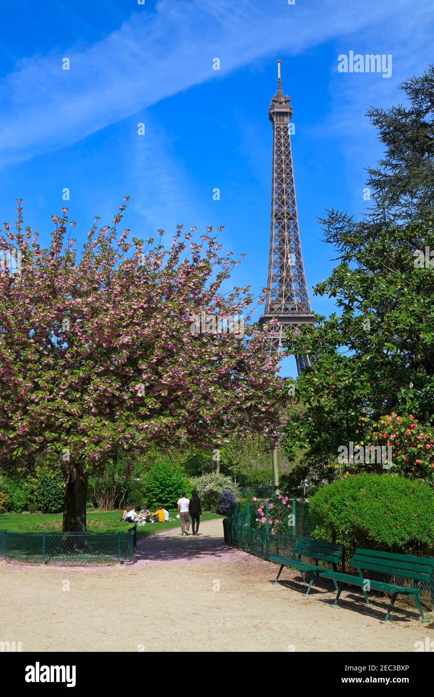 Flowering trees in the Champ de Mars in April in Paris Stock Photo