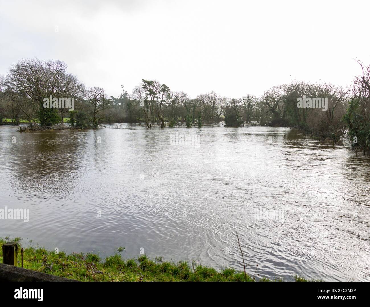 River Ilen Ireland flooding farmers fields after bursting its banks. Stock Photo