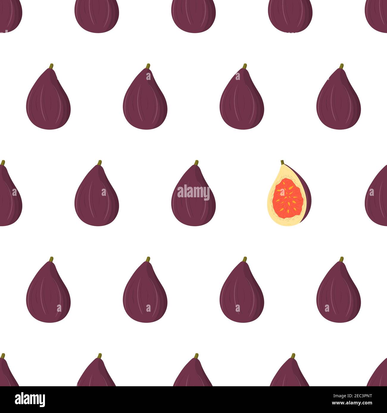 Seamless pattern with hand drawn vector purple fig fruit, all whole and one half. Eye-catching element. Healthy food minimal background. Organic textile. Natural backdrop. Fabric print texture. Stock Vector