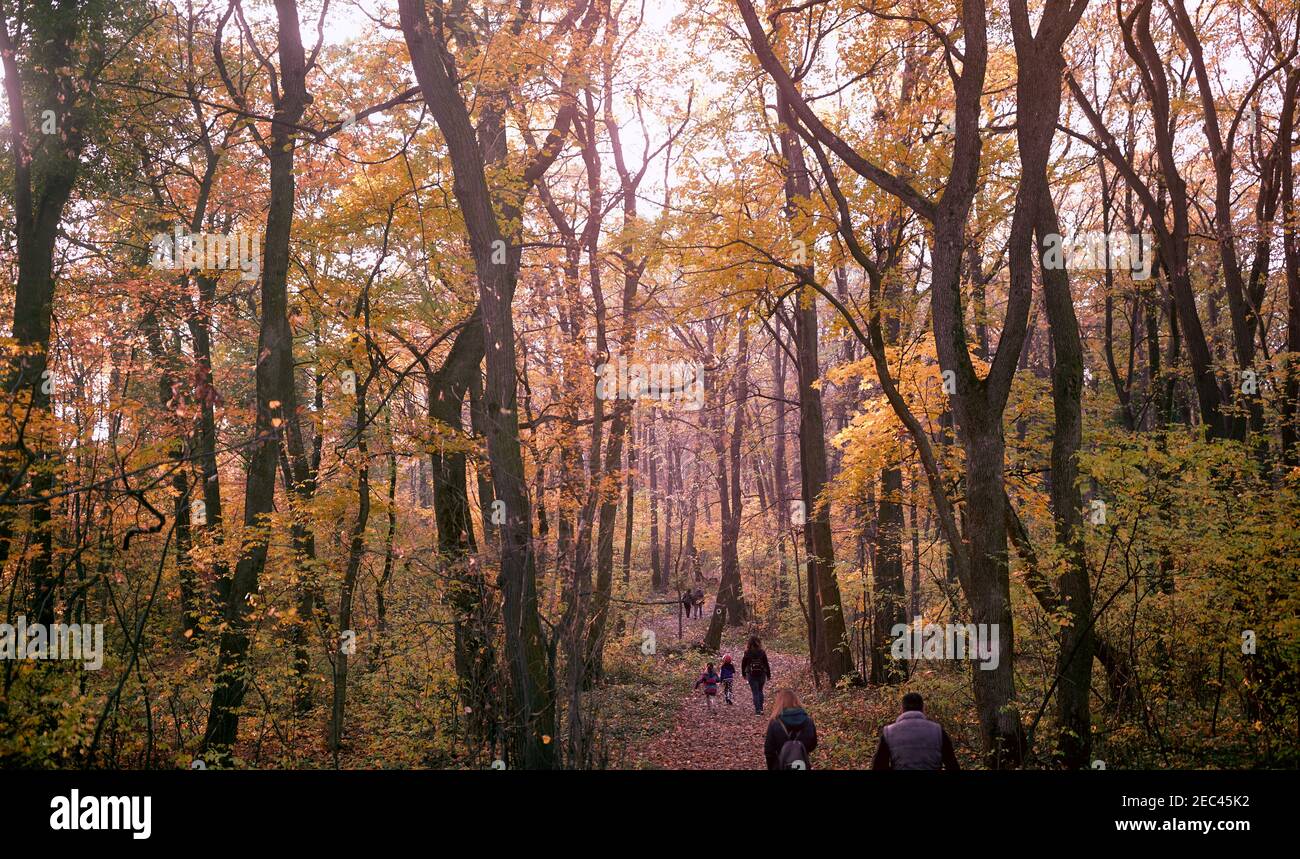 beauty of nature, fresh air, place for healthy activities and connection with our soul and spirituality concept Stock Photo