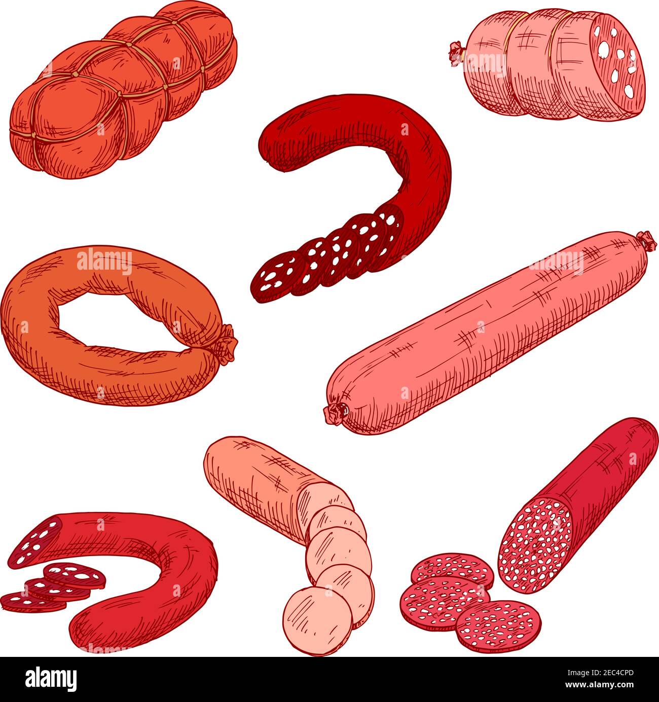 Sausage meat products like wurst or kielbasa. Food made of beef, pork or veal and starch that is grilled or baked. Concept of nutrition with Polish or Stock Vector