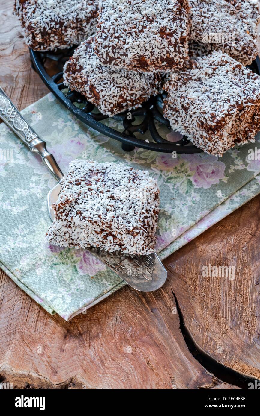 Quick and Easy Lamingtons  Minas Bakery  Chocolate Sponges