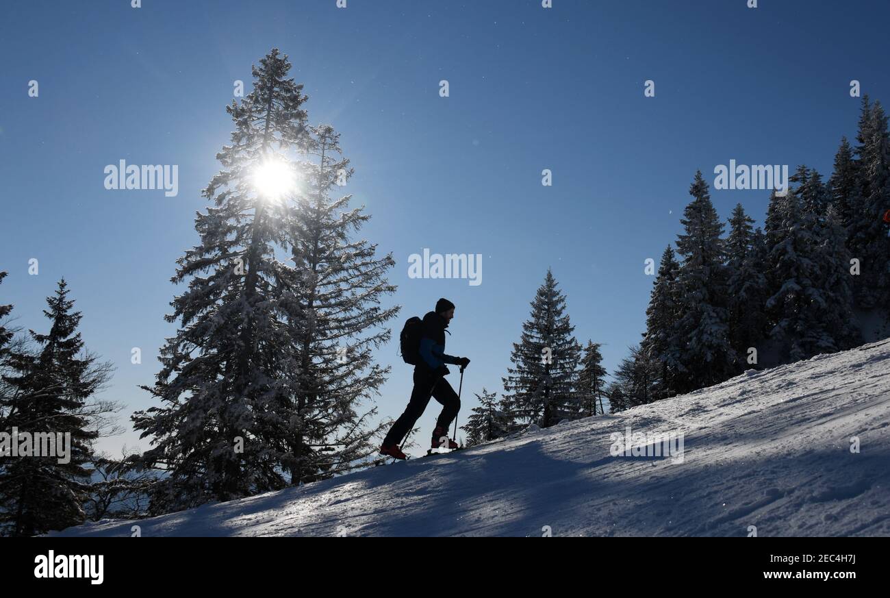 Lenggries, Germany. 13th Feb, 2021. A ski tourer ascends to Brauneck. Credit: Tobias Hase/dpa/Alamy Live News Stock Photo