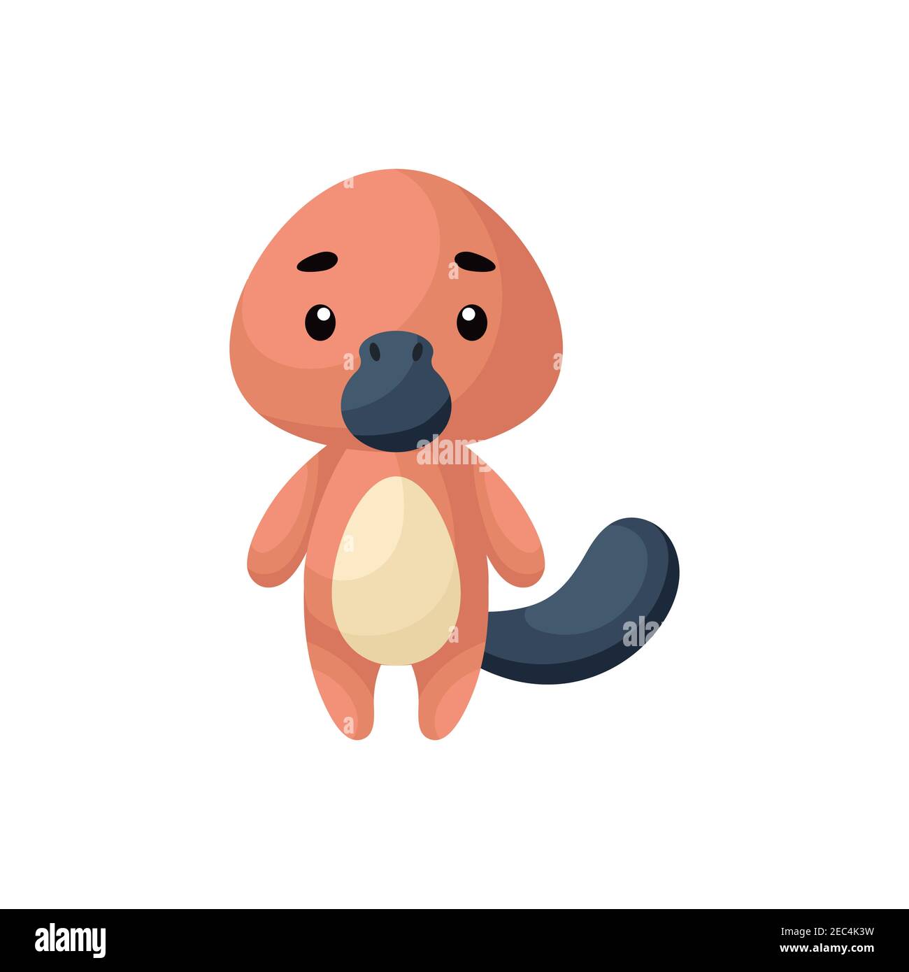 Platypus Baby High Resolution Stock Photography And Images Alamy Platypus Baby High Resolution Stock Photography And Images Alamy