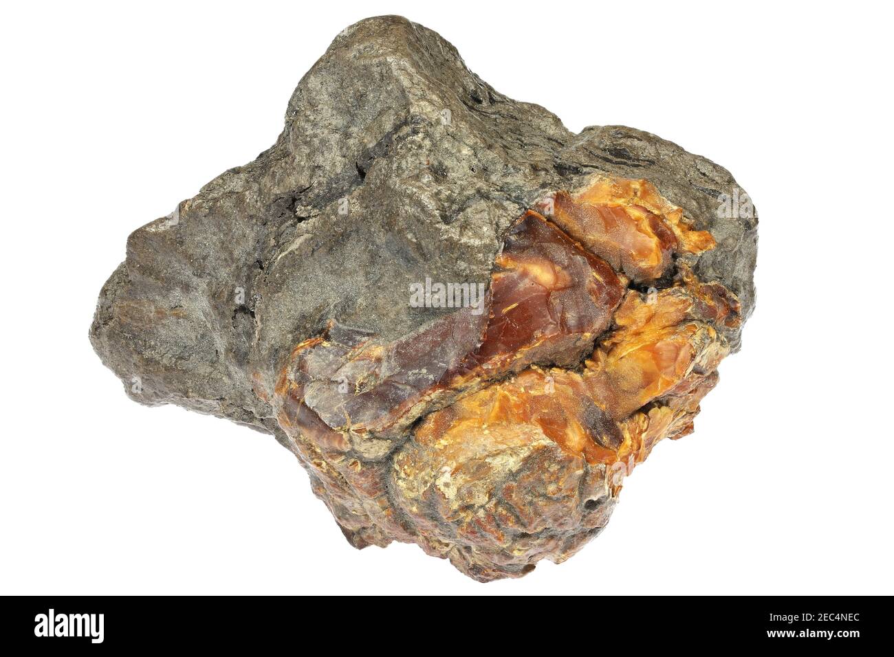 krantzite (amber) from Zeitz, Germany isolated on white background Stock Photo
