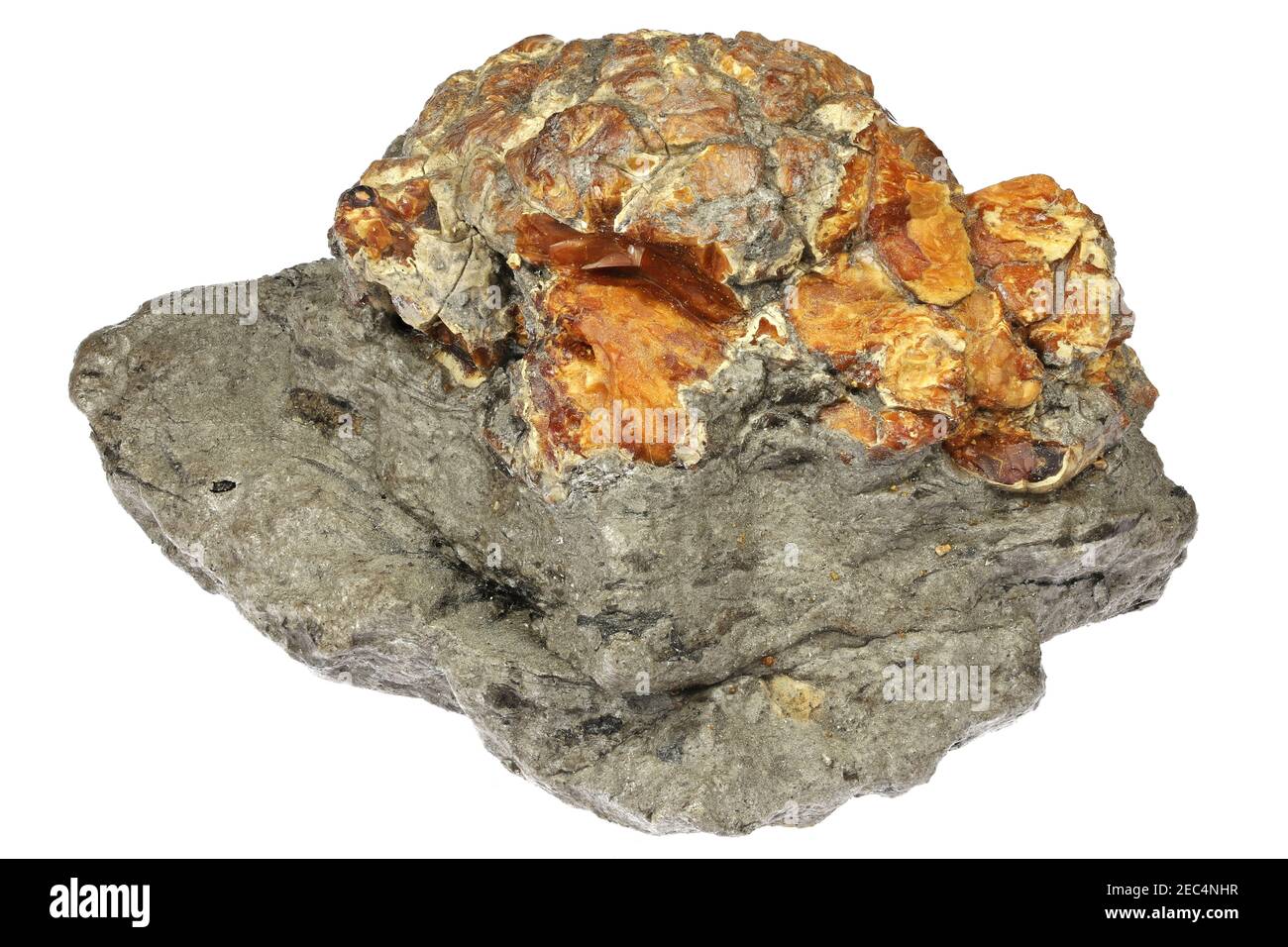 krantzite (amber) from Zeitz, Germany isolated on white background Stock Photo