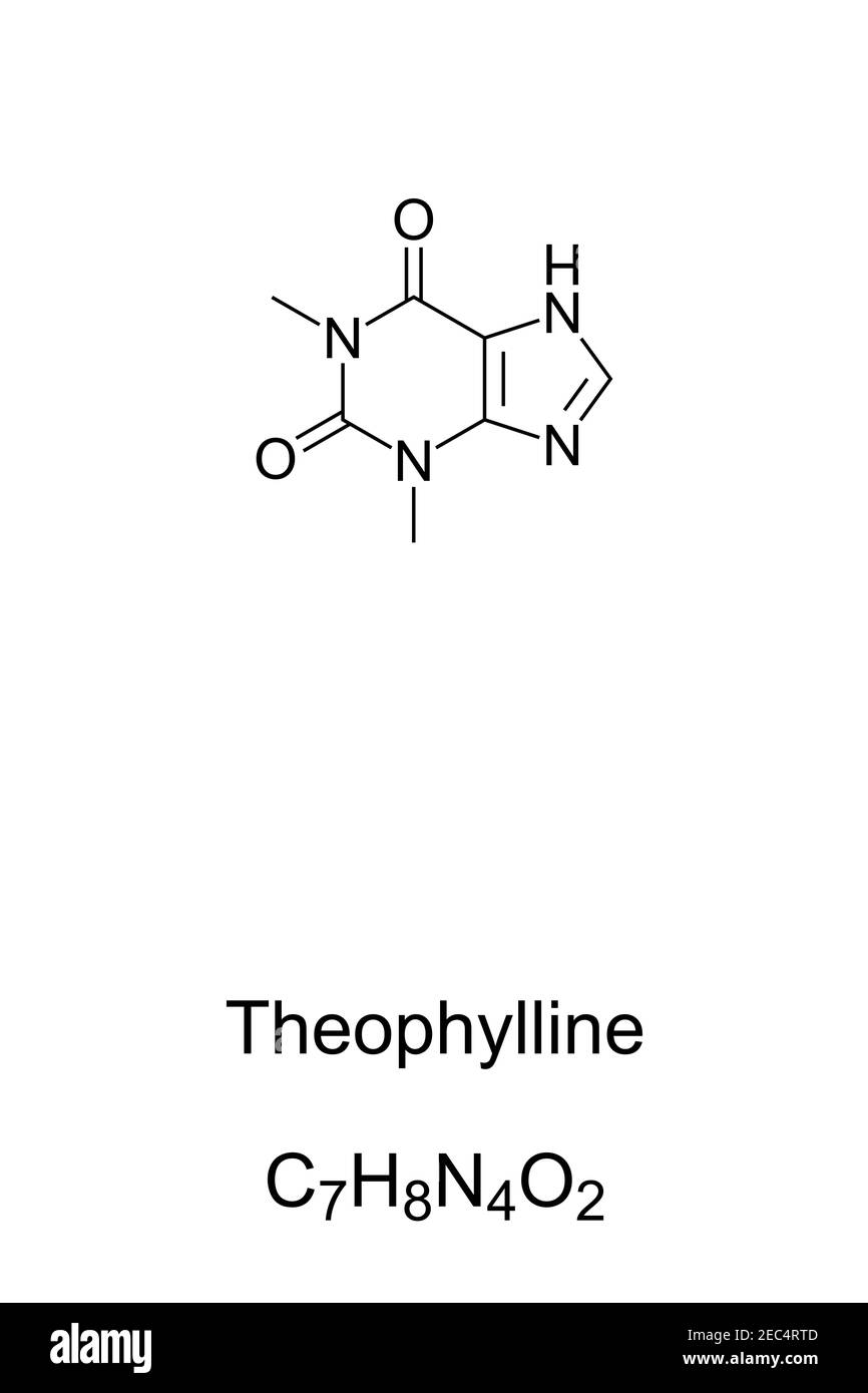 Theophylline, chemical formula and skeletal structure. Found in tea (Camellia sinensis) and cocoa (Theobroma cacao), used as a drug. Stock Photo