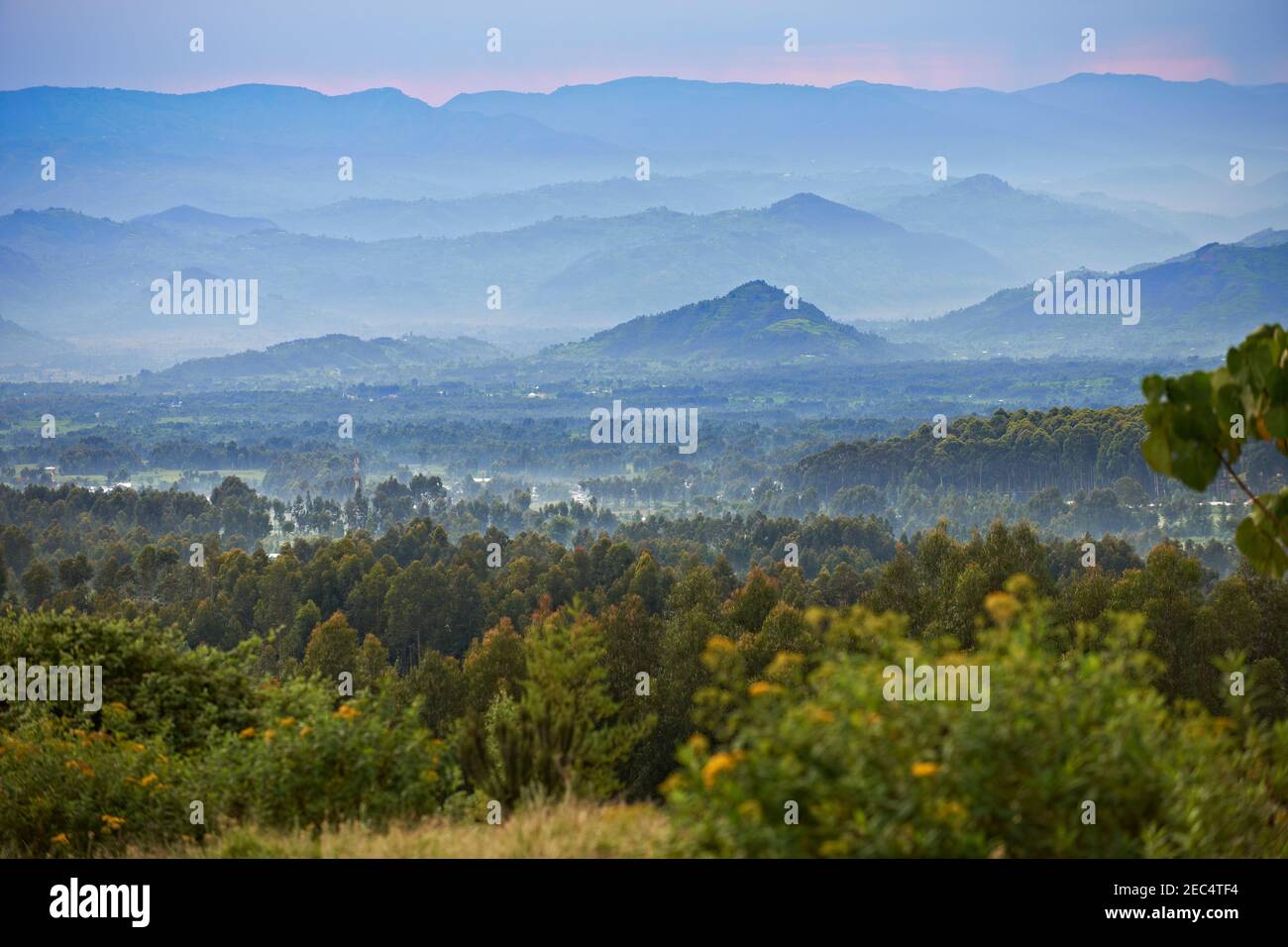land of thousand hills, Landscape near Musanze, Rwanda, Africa Stock