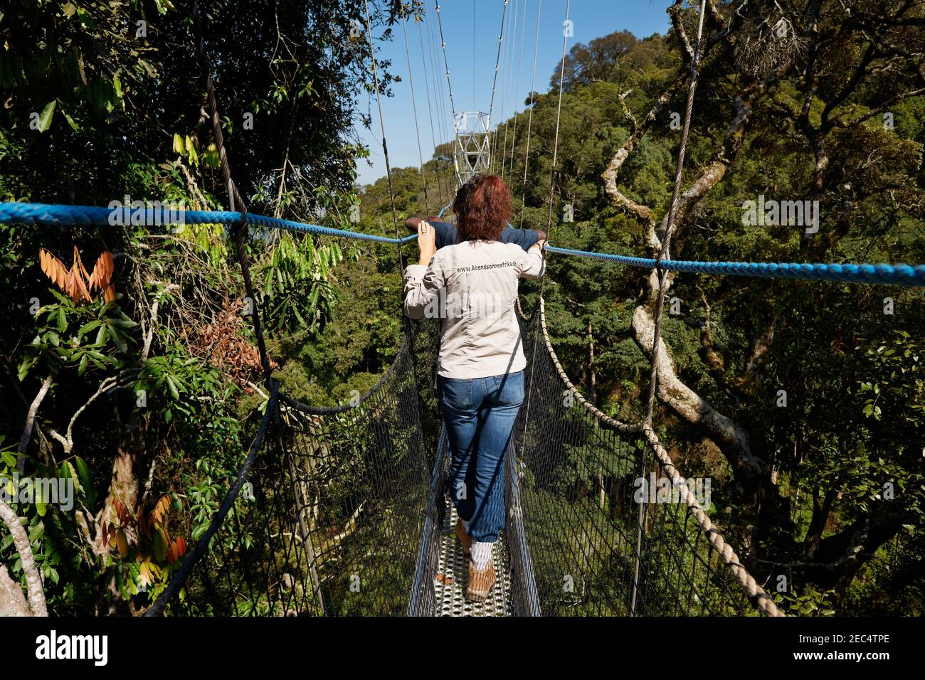 suspension bridge in Nyungwe Forest, Rwanda, Africa Stock Photo Alamy