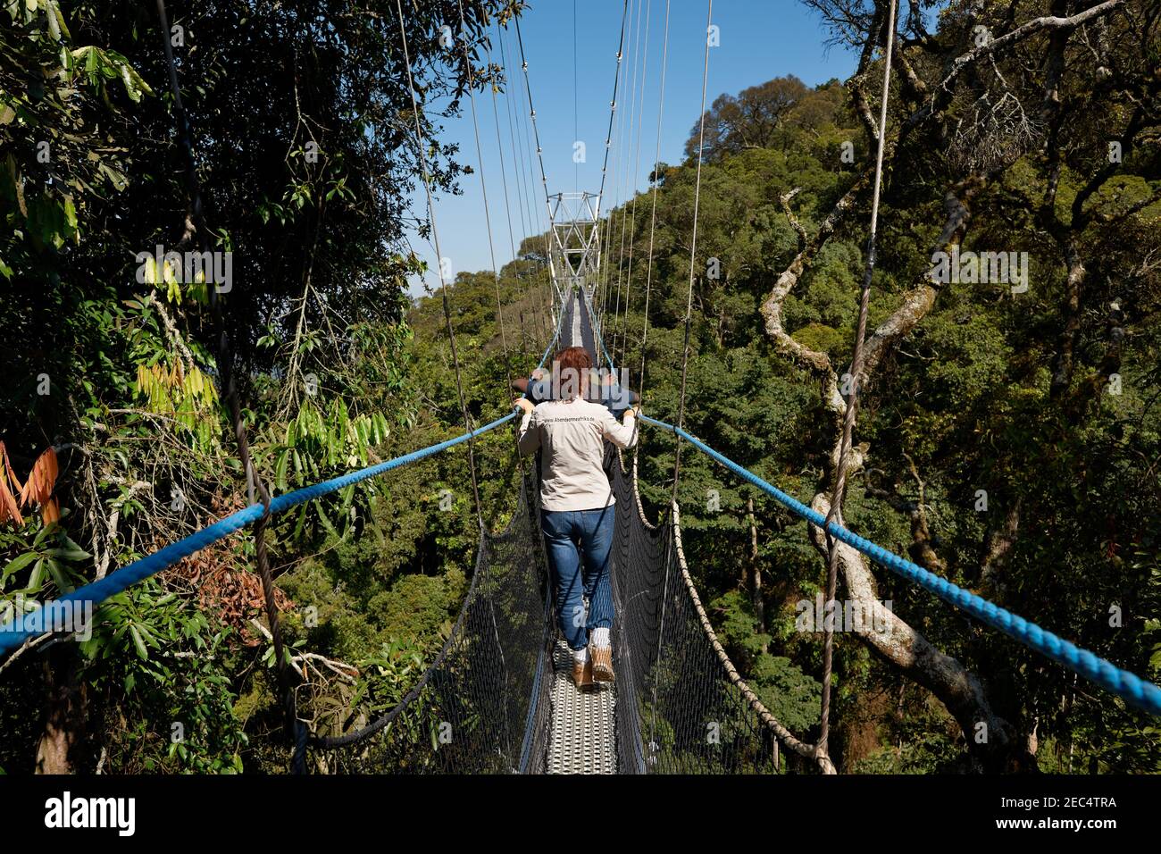 suspension bridge in Nyungwe Forest, Rwanda, Africa Stock Photo Alamy