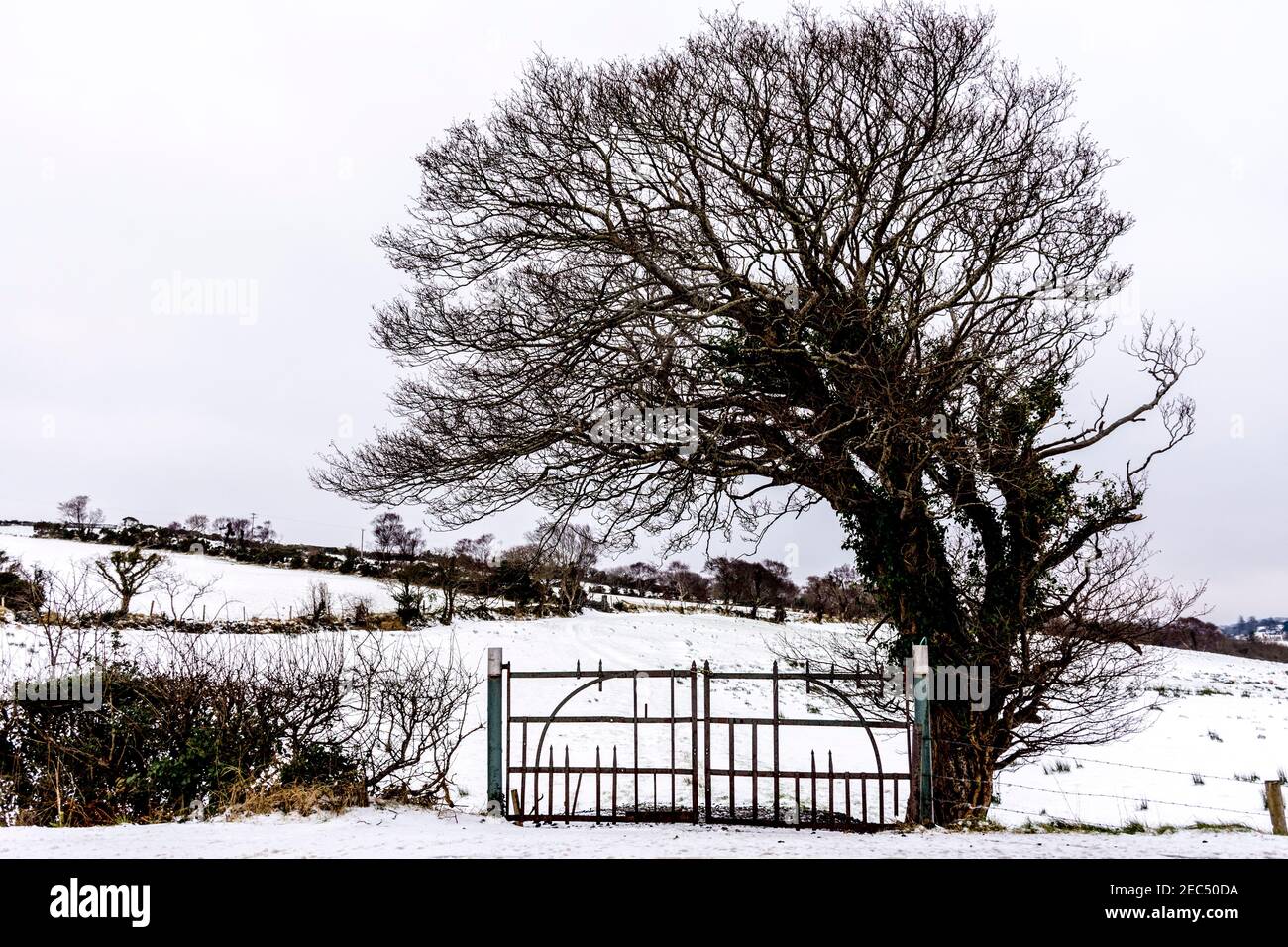 Ardara, County Donegal, Ireland. 13th February 2021. Hillside in snow which fell heavily overnight in the north-west coastal village. Credit: Richard Wayman/Alamy Live News Stock Photo