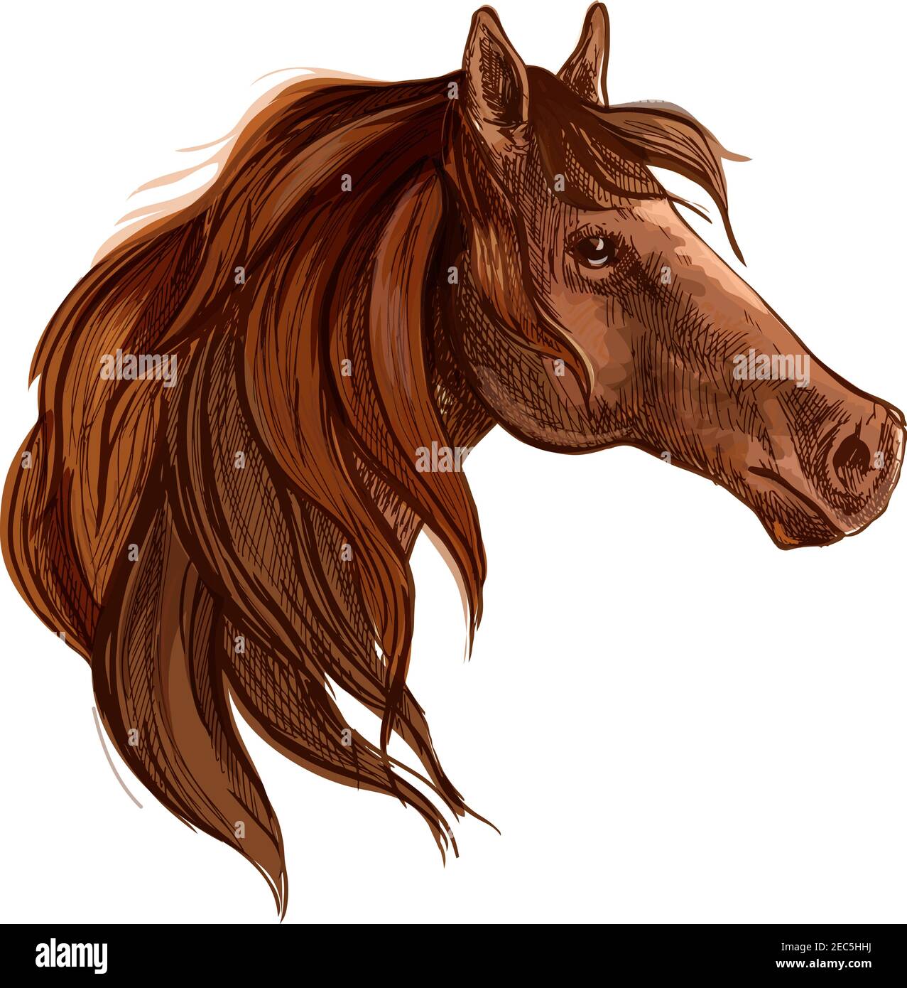 Bay horse with long mane vector portrait. Brown stallion mustang head wth gazing glance Stock Vector