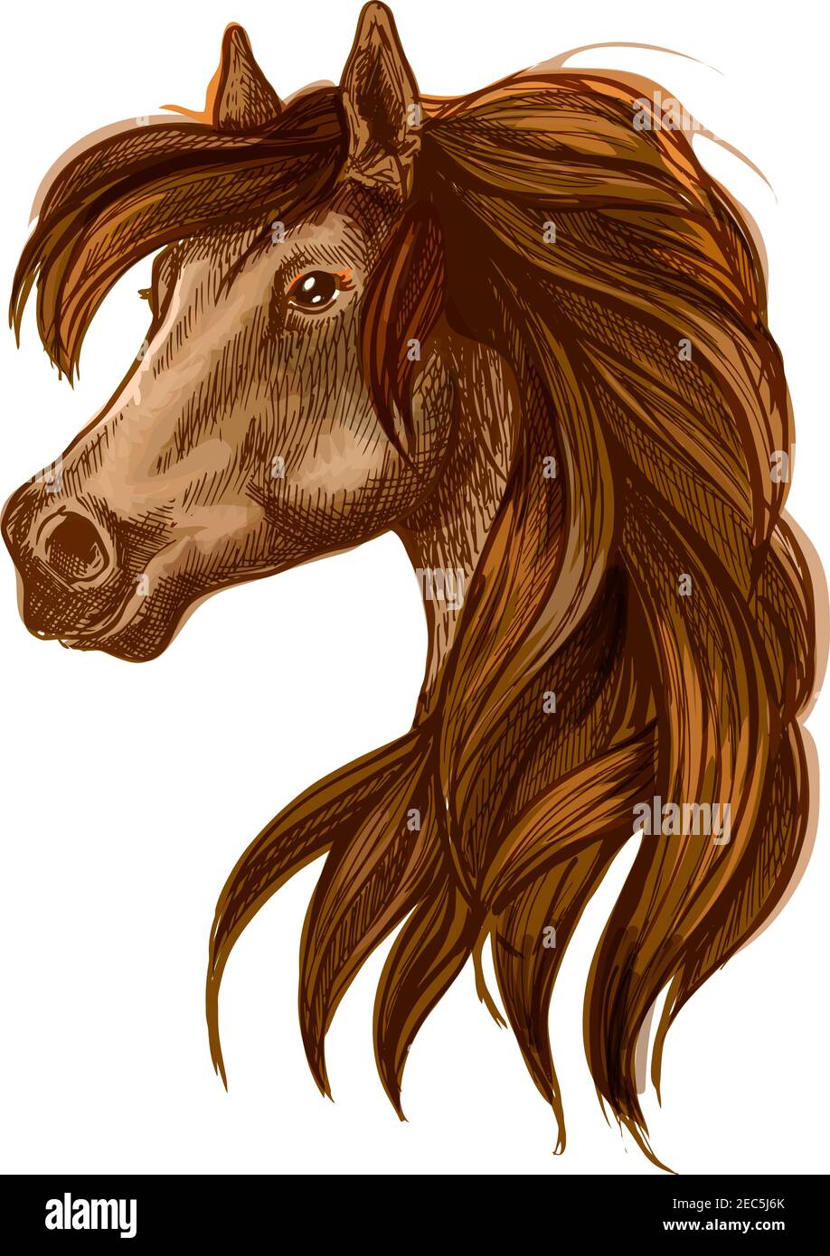Brown horse head with long wavy mane. Gazing bay stallion. Beautiful pony portrait Stock Vector