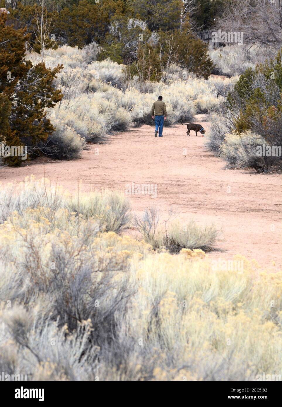 A man walks his dog in a dry arroyo, or riverbed, in Sante Fe, New Mexico. Stock Photo