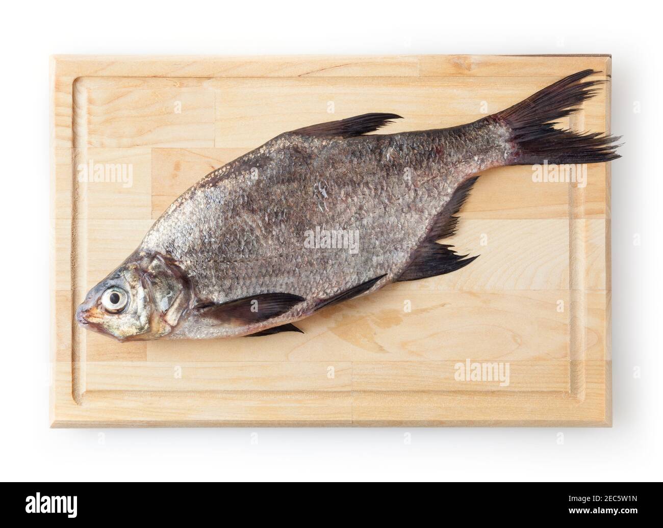 Common river bream on cutting board isolated on white background. Freshwater fish Stock Photo