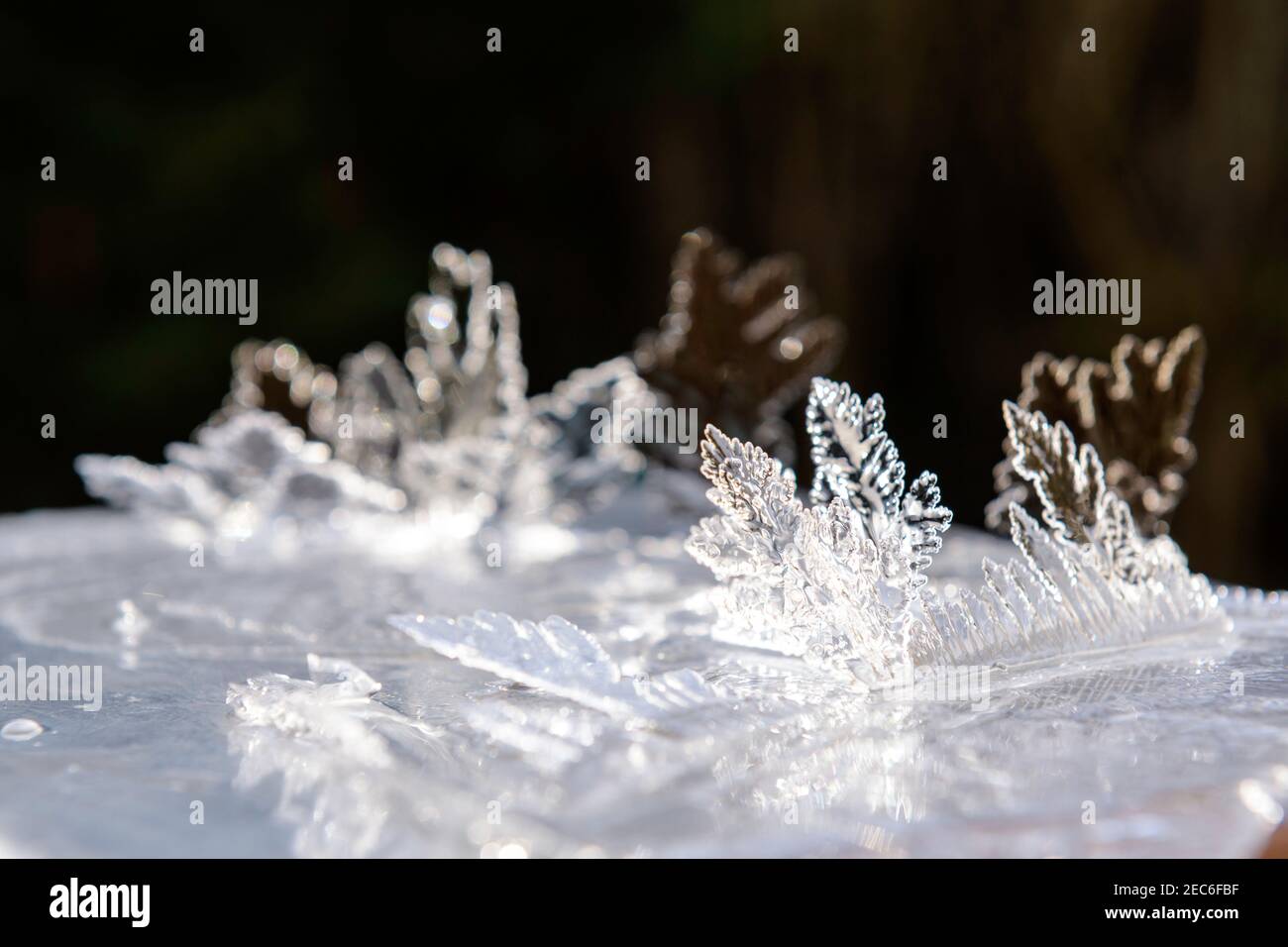 Natural Ice Sculpture Stock Photo - Alamy