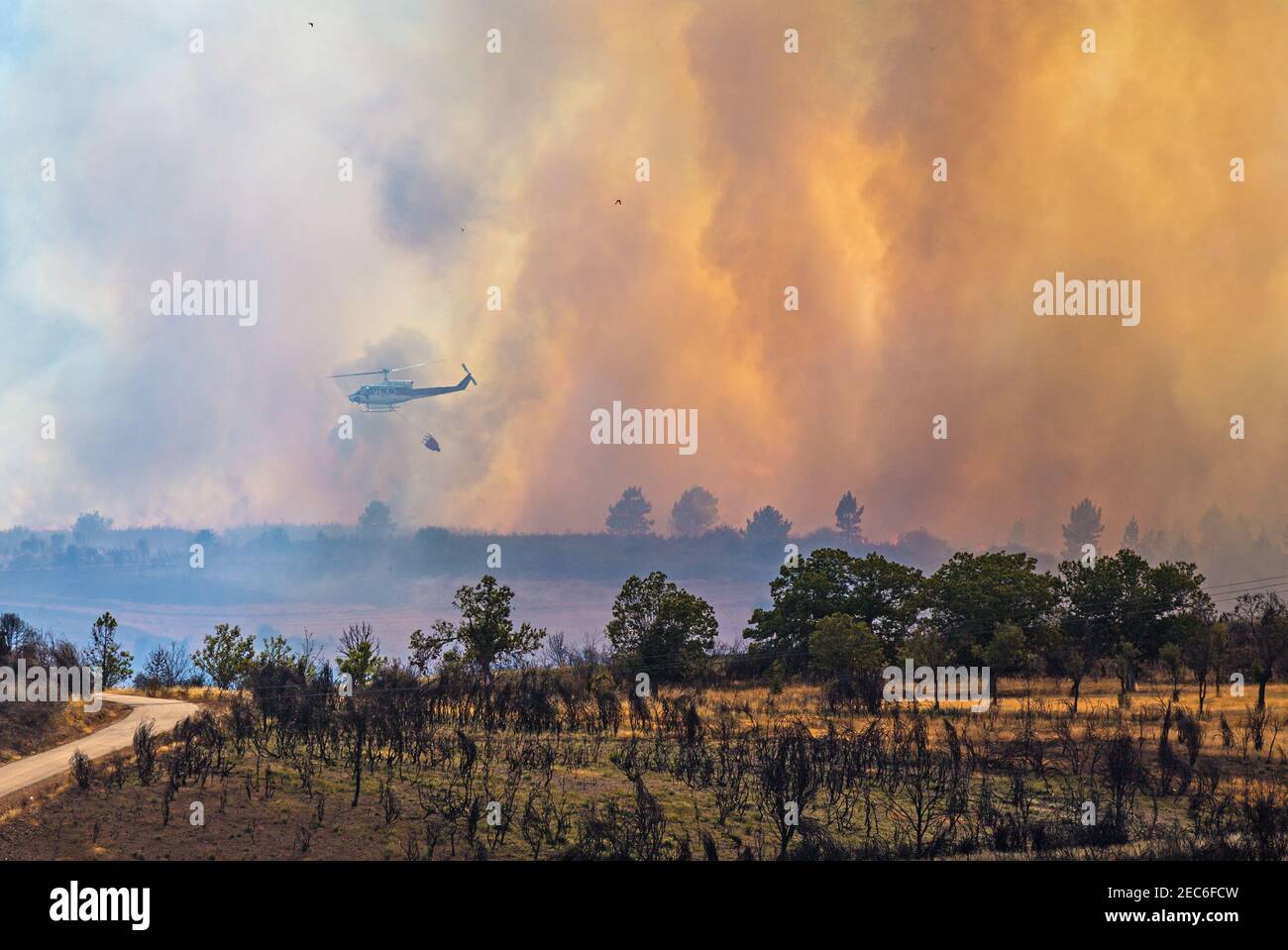 Fire in the forest Stock Photo - Alamy