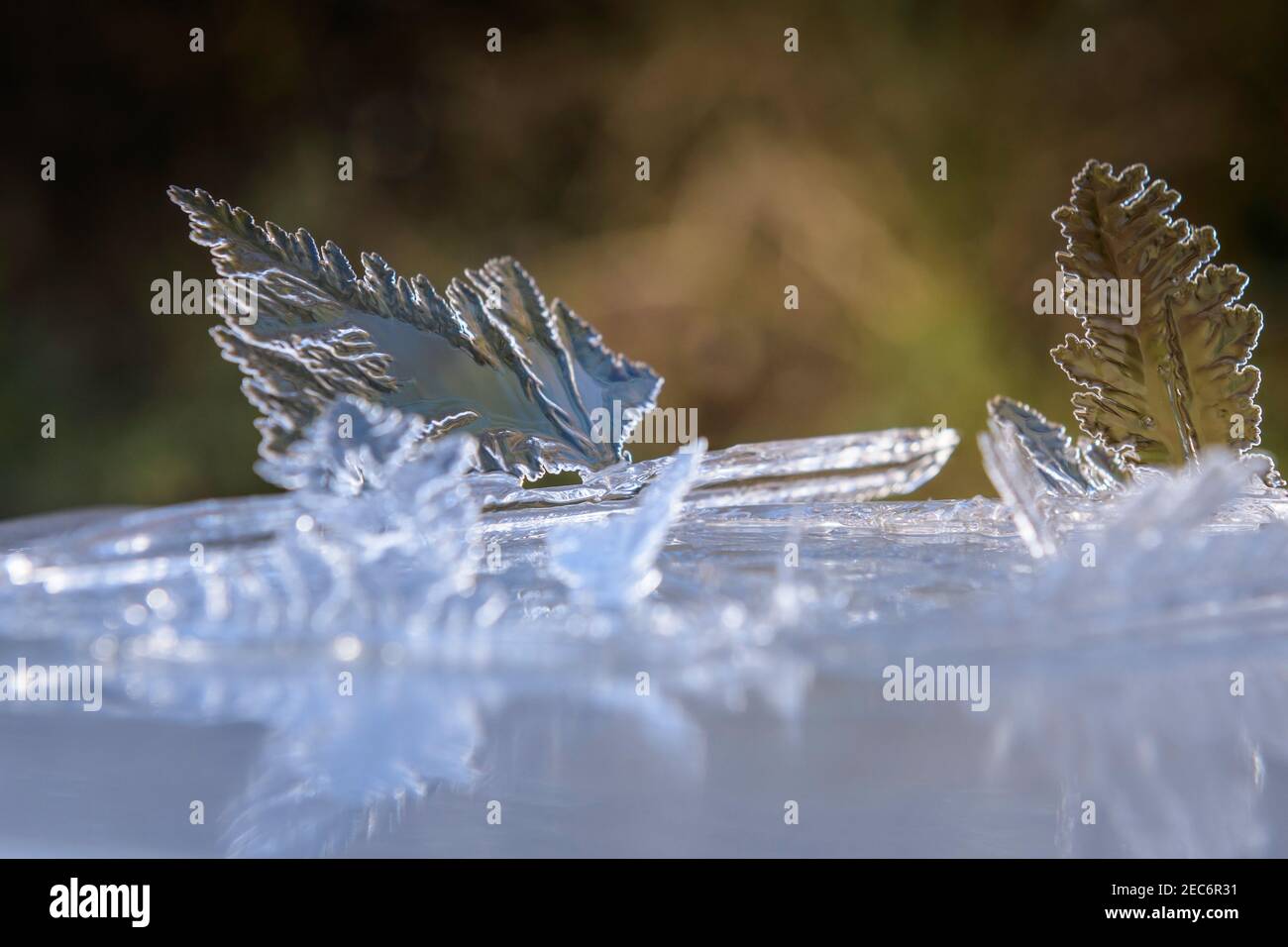 Natural Ice Sculpture Stock Photo - Alamy